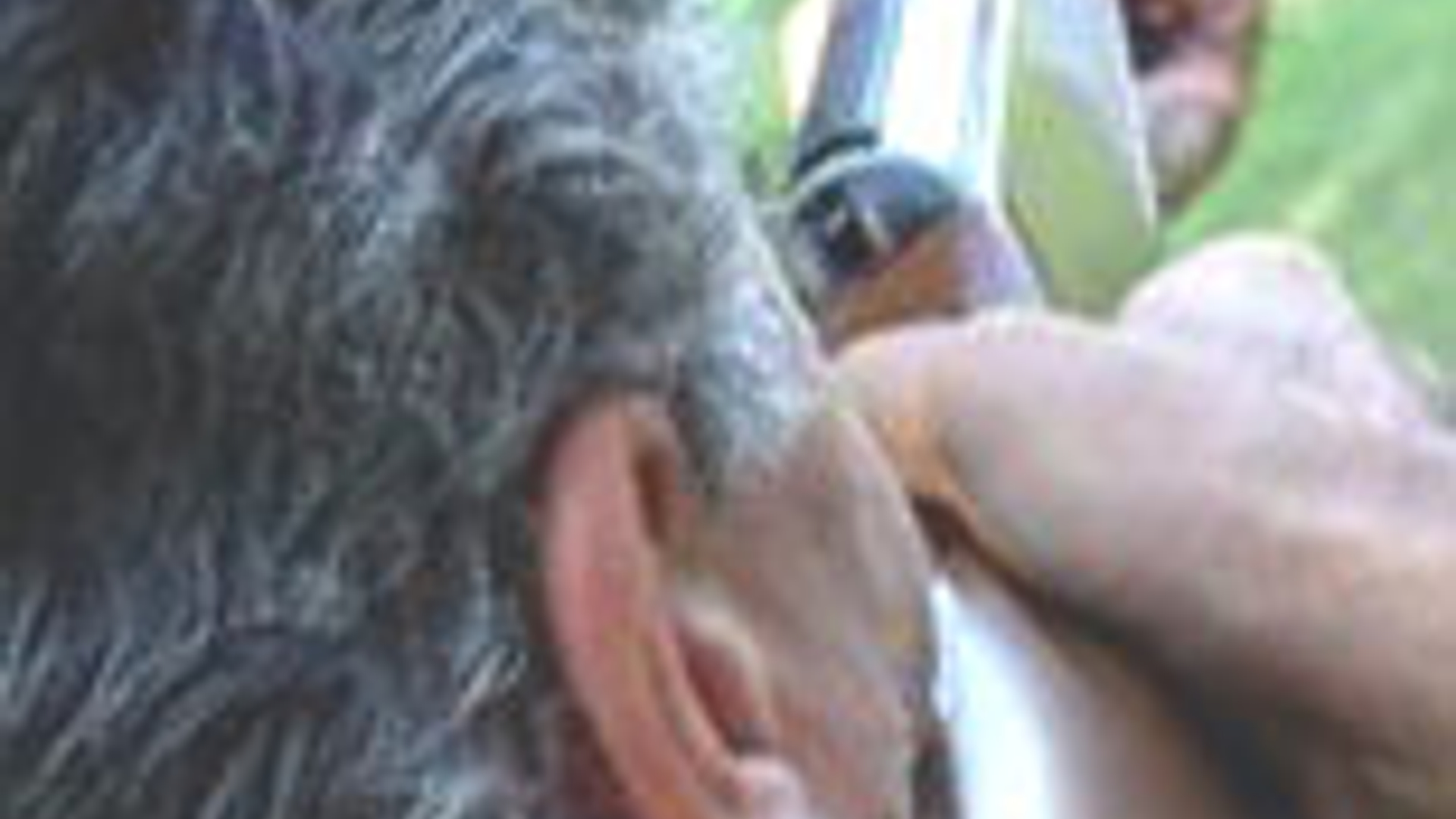 vv_newsimg_136880.jpg