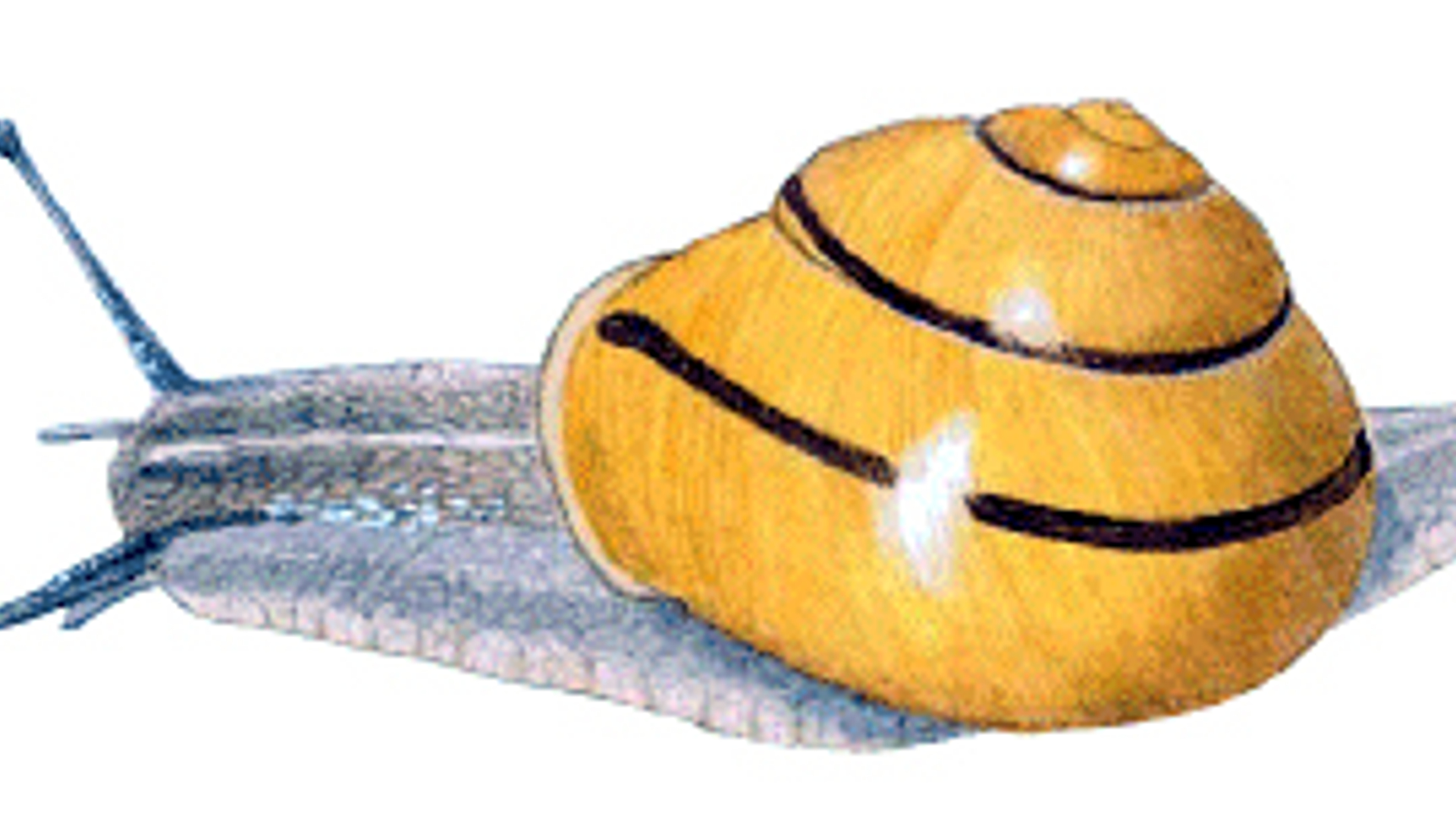 vv_newsimg_125030.jpg