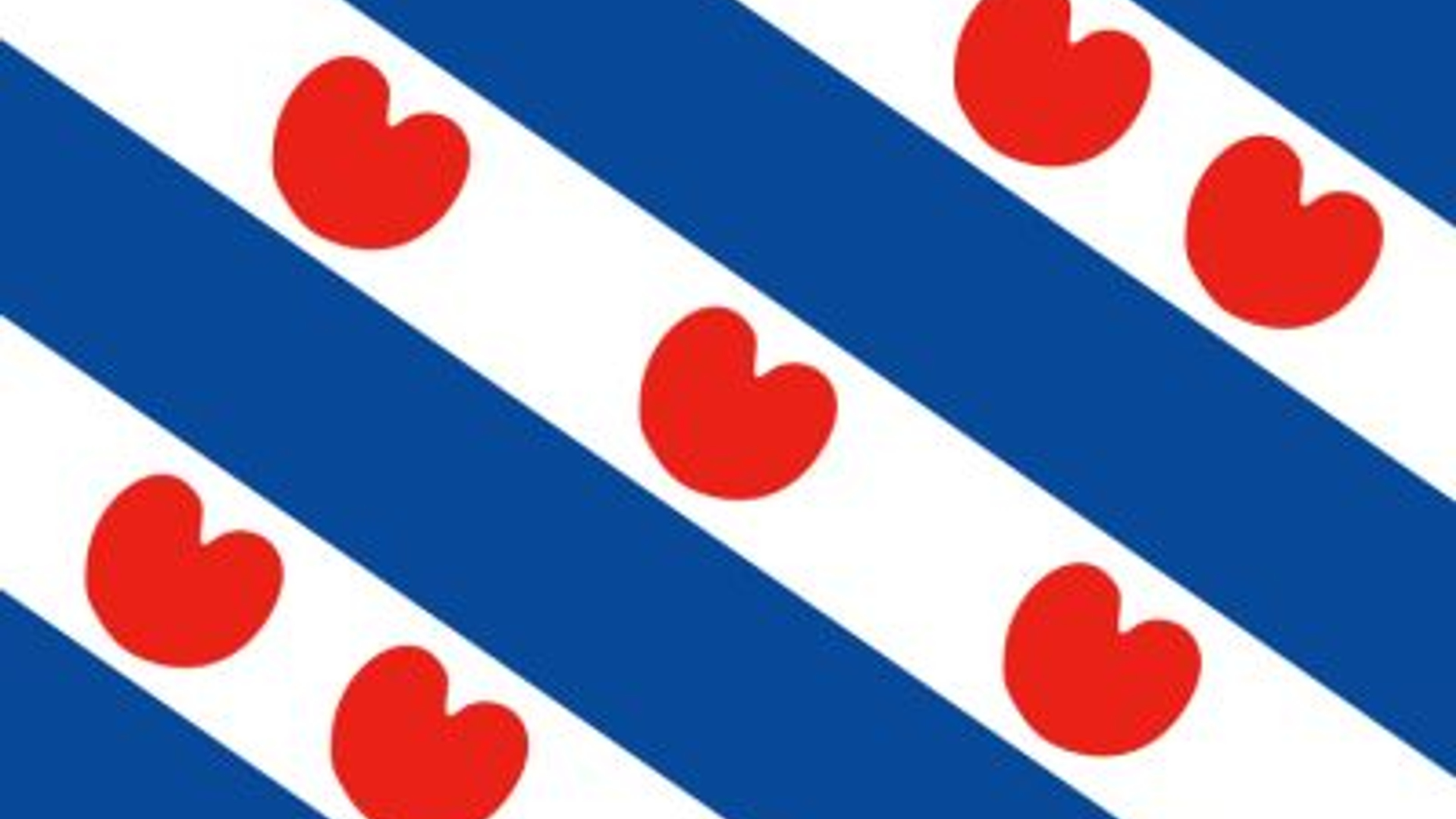 vlag_01.jpg