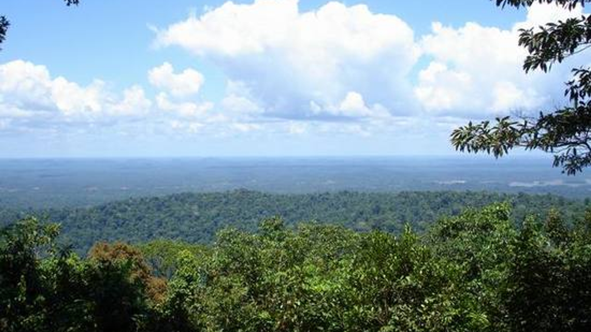 suriname.jpg