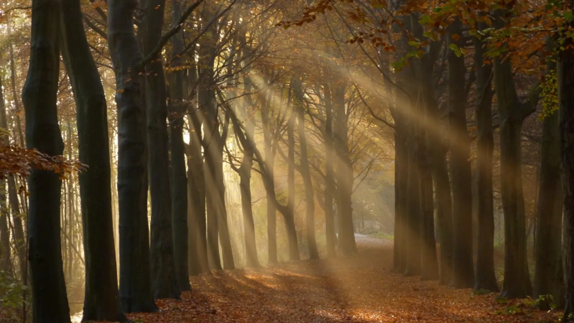 natuurmonumenten_23.jpg