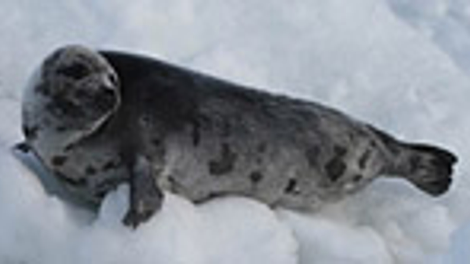 vv_newsimg_267950.jpg