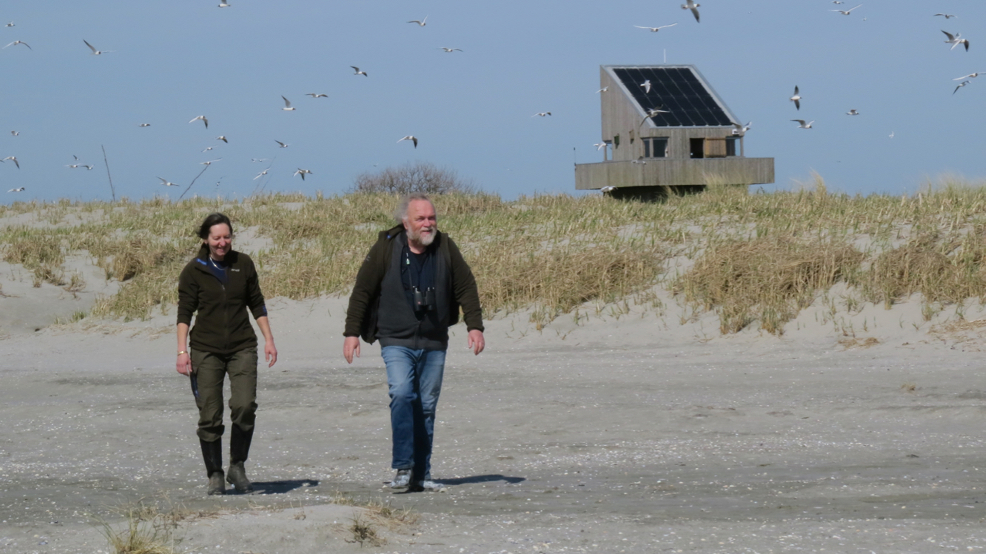 Date Lutterop en Giny Kasemir op Griend