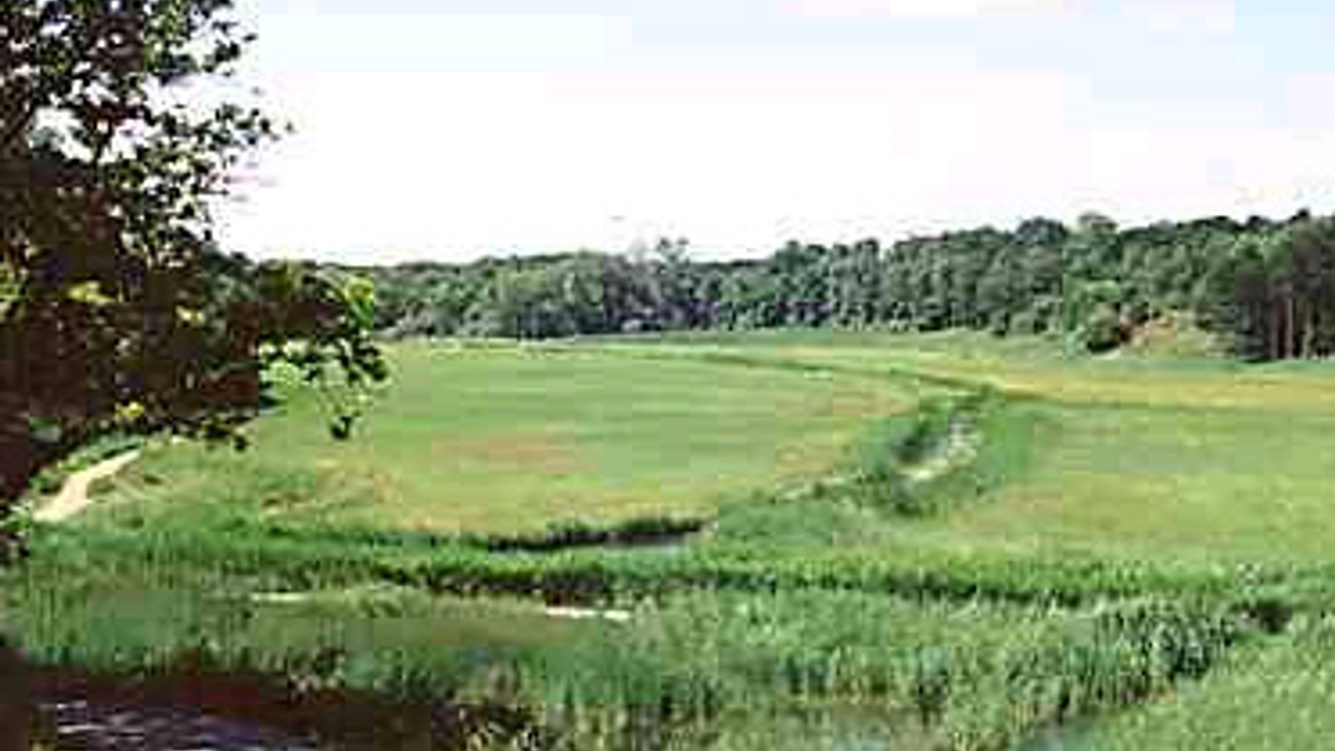 vv_newsimg_111937.jpg