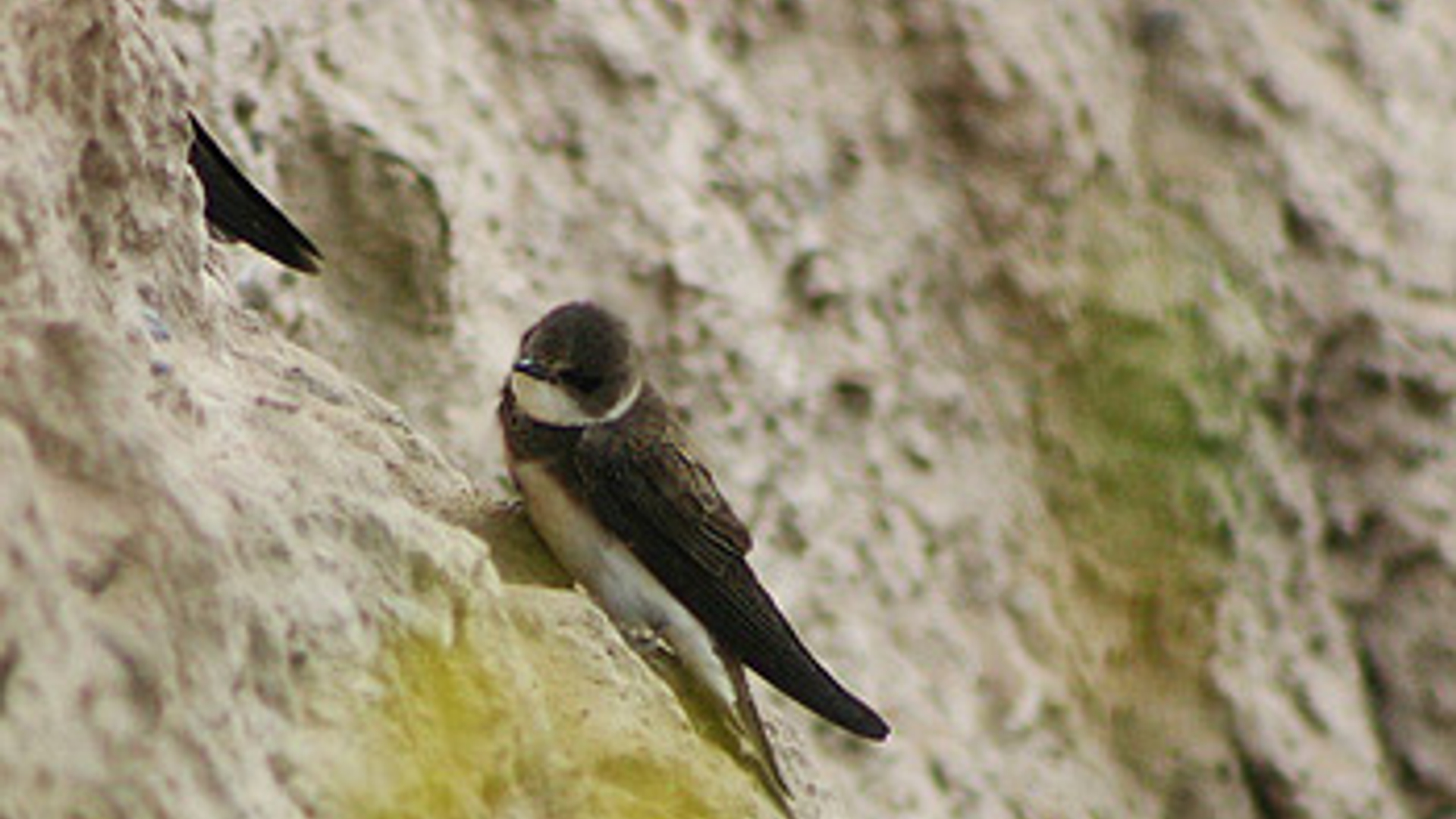vv_newsimg_295557.jpg