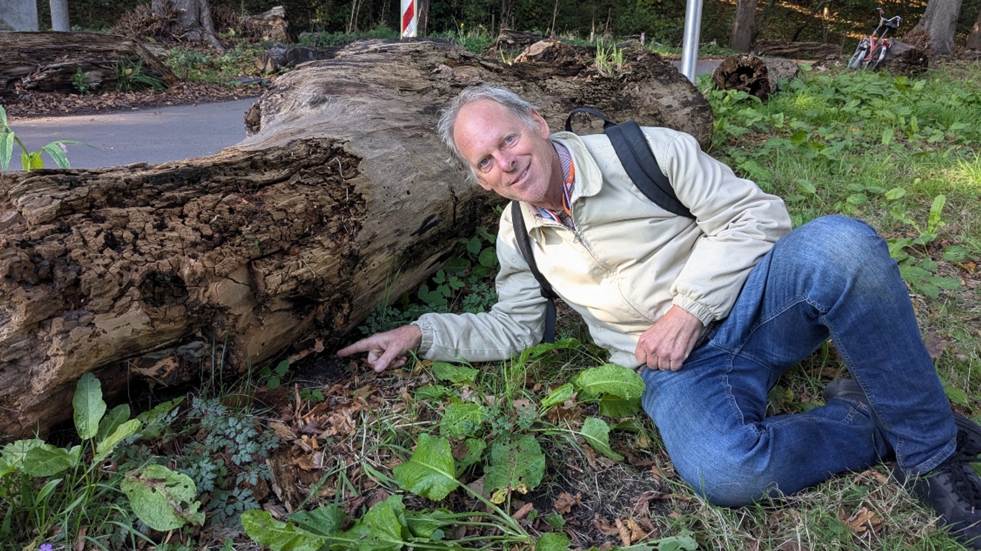 peter-jan keizer bij zwam