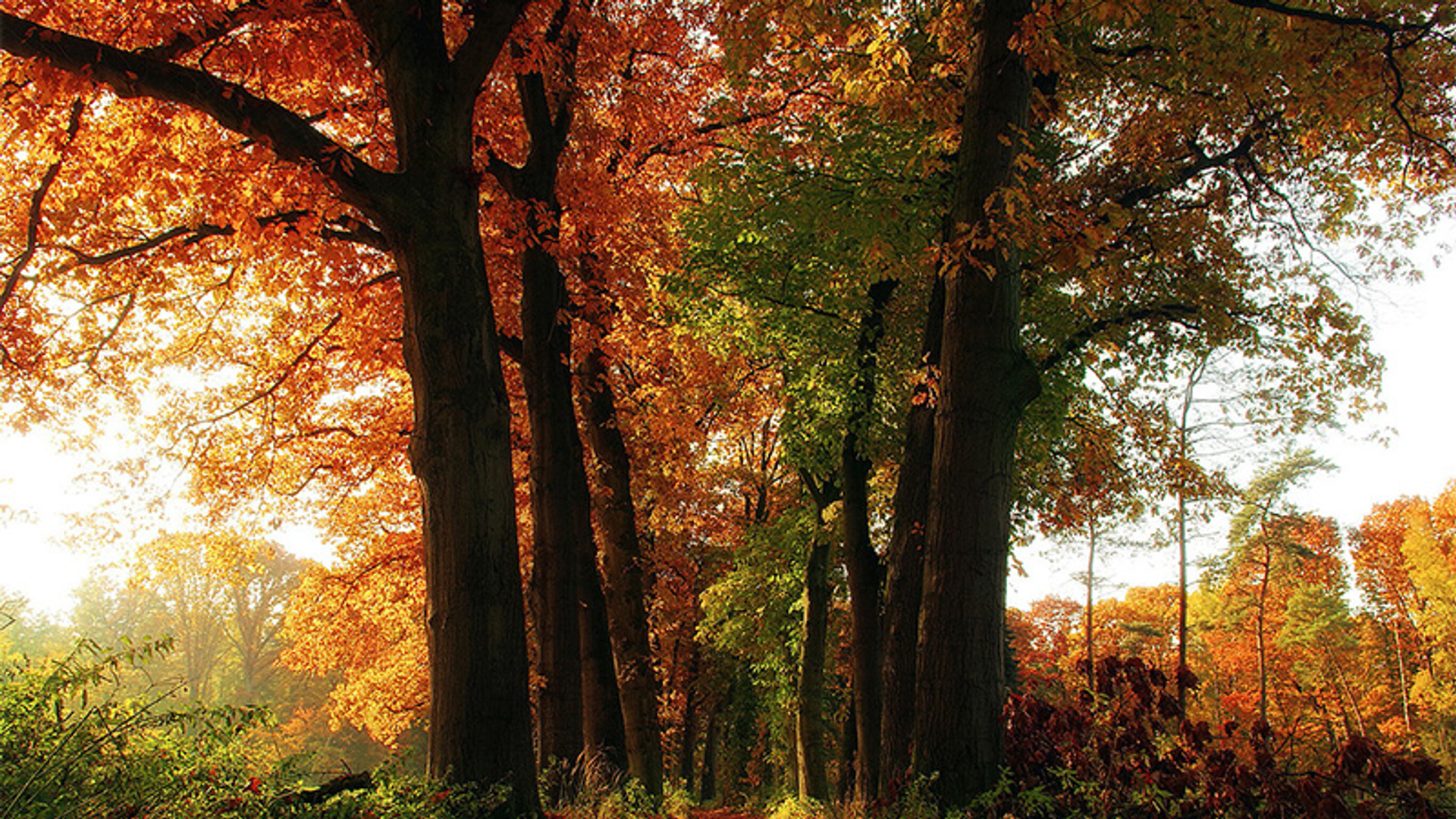 herfst