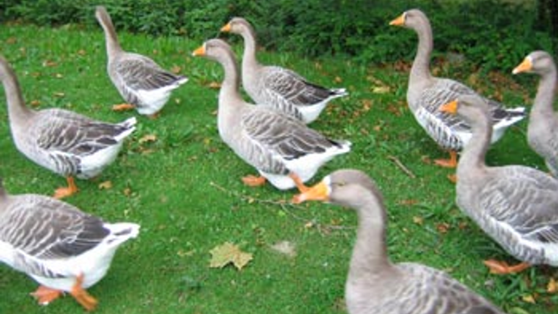 vv_newsimg_123180.jpg