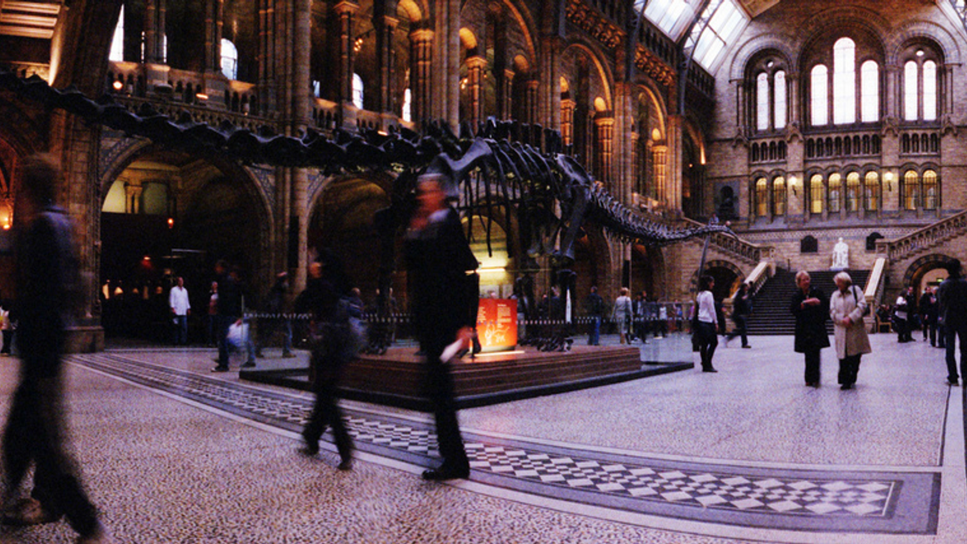 dippy__NigeHarris.jpg
