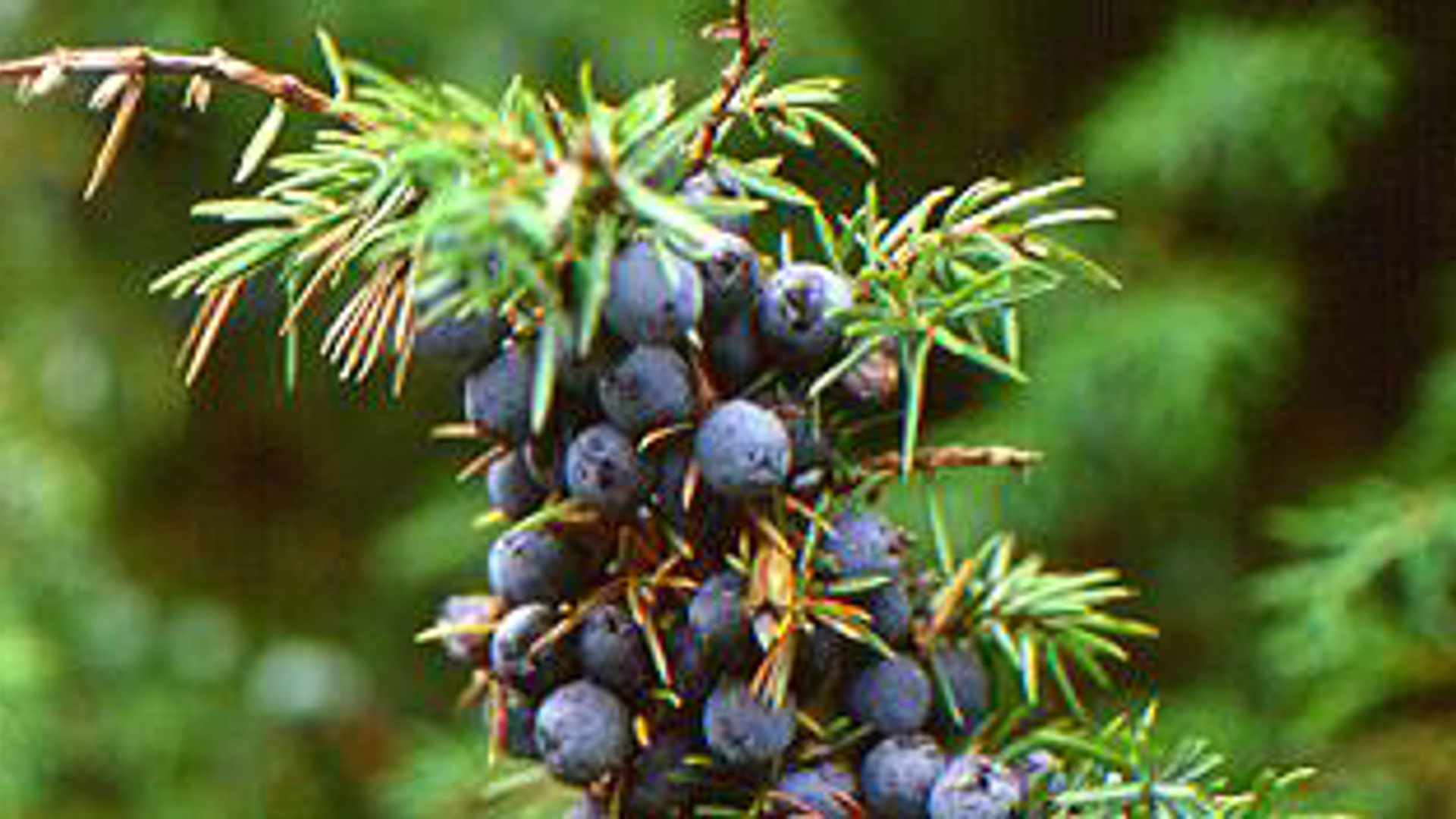 vv_newsimg_141631.jpg