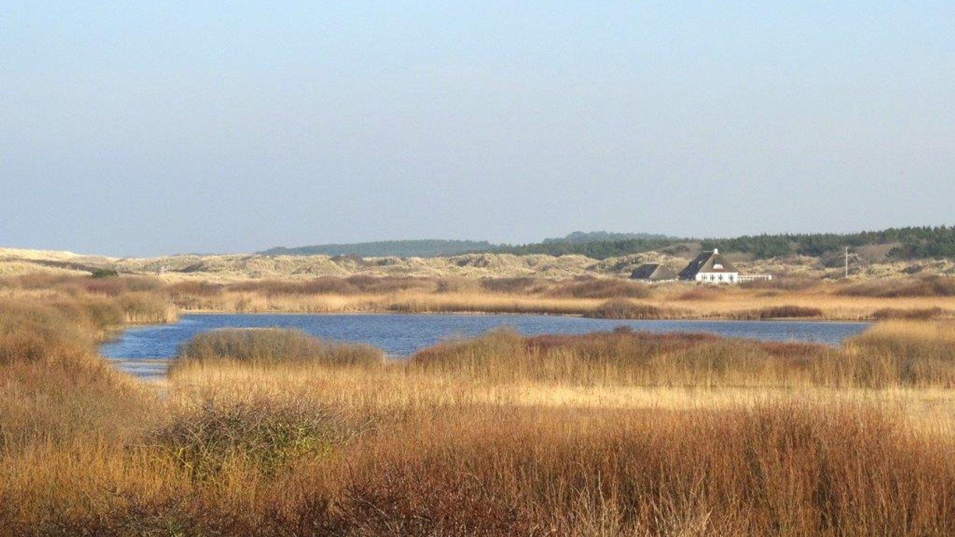 Ameland