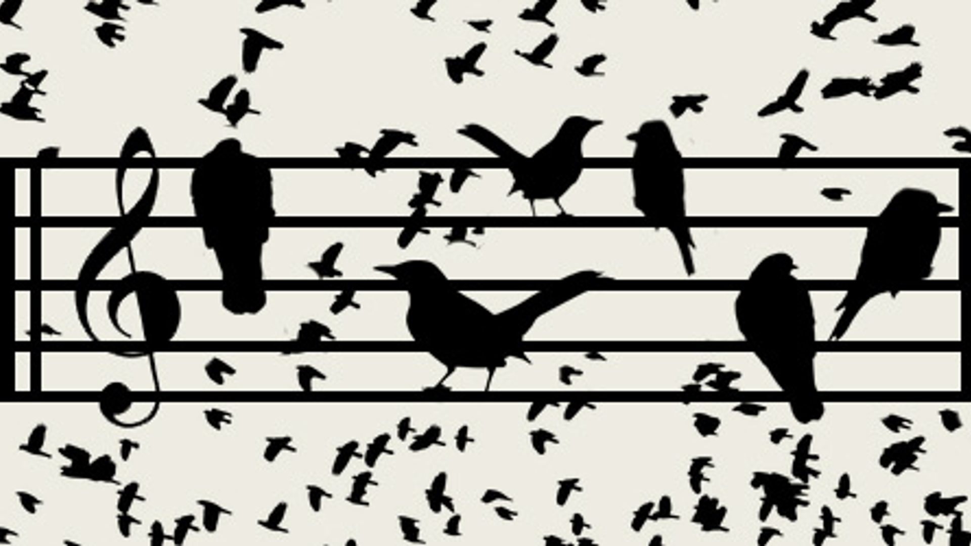 zangvogels