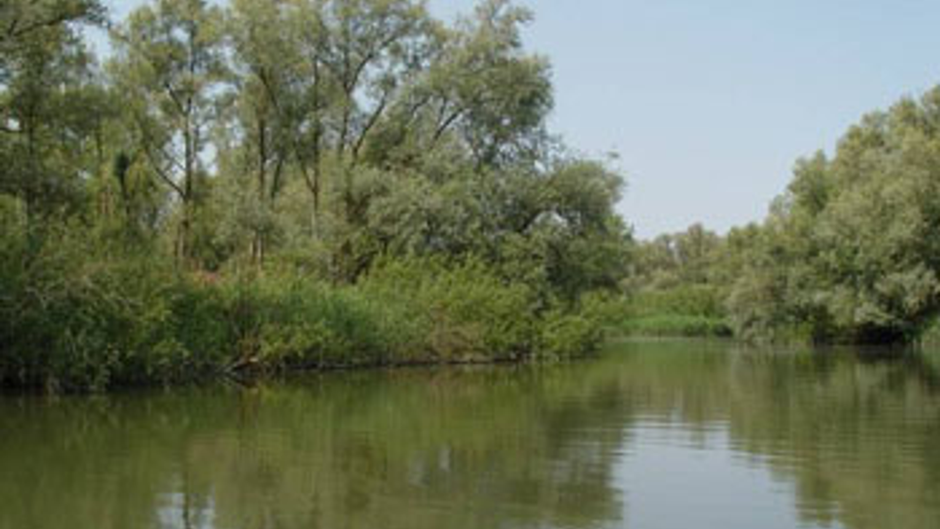 vv_newsimg_210143.jpg