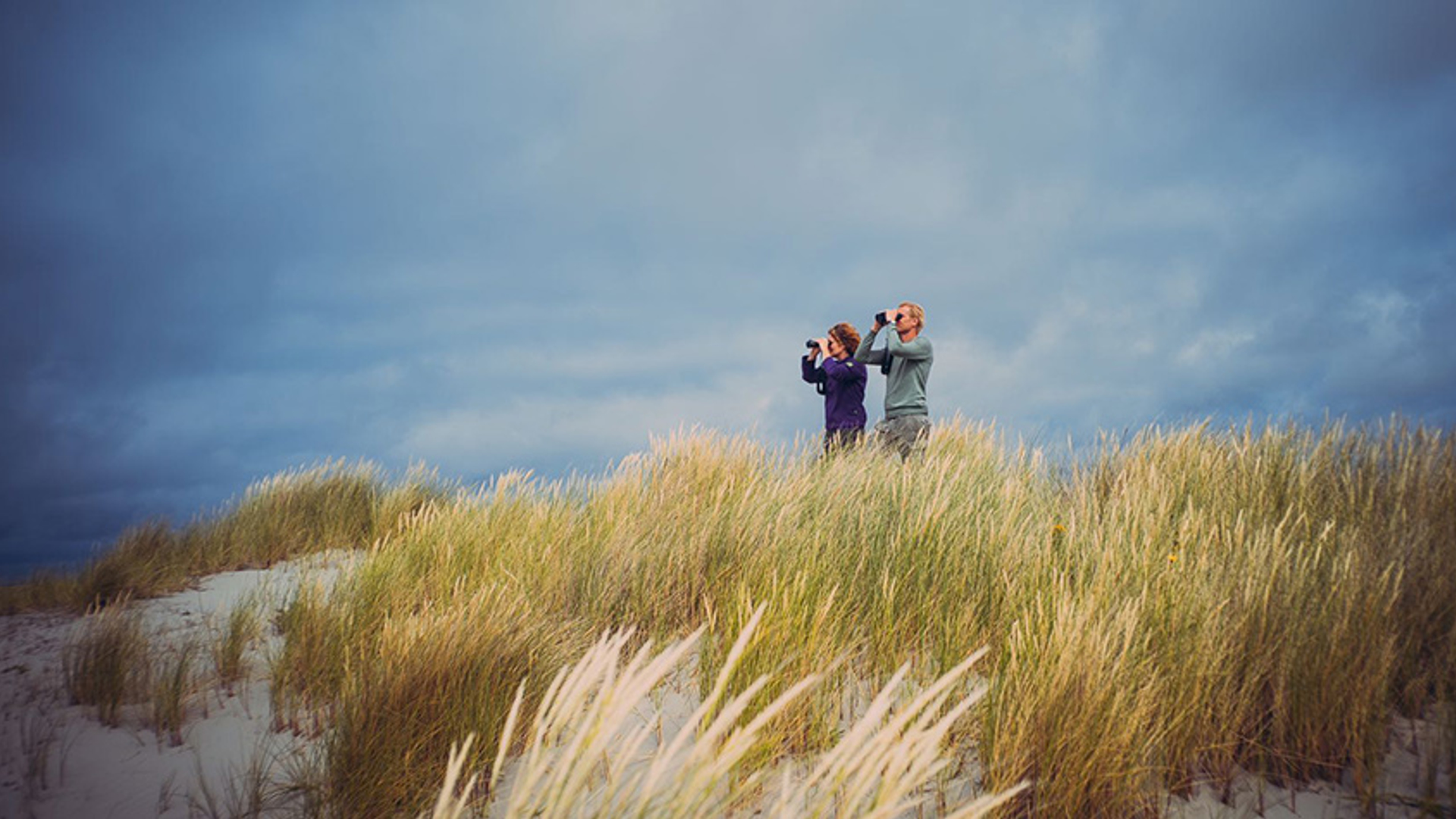 PHOTO-2018-07-06-17-22-39