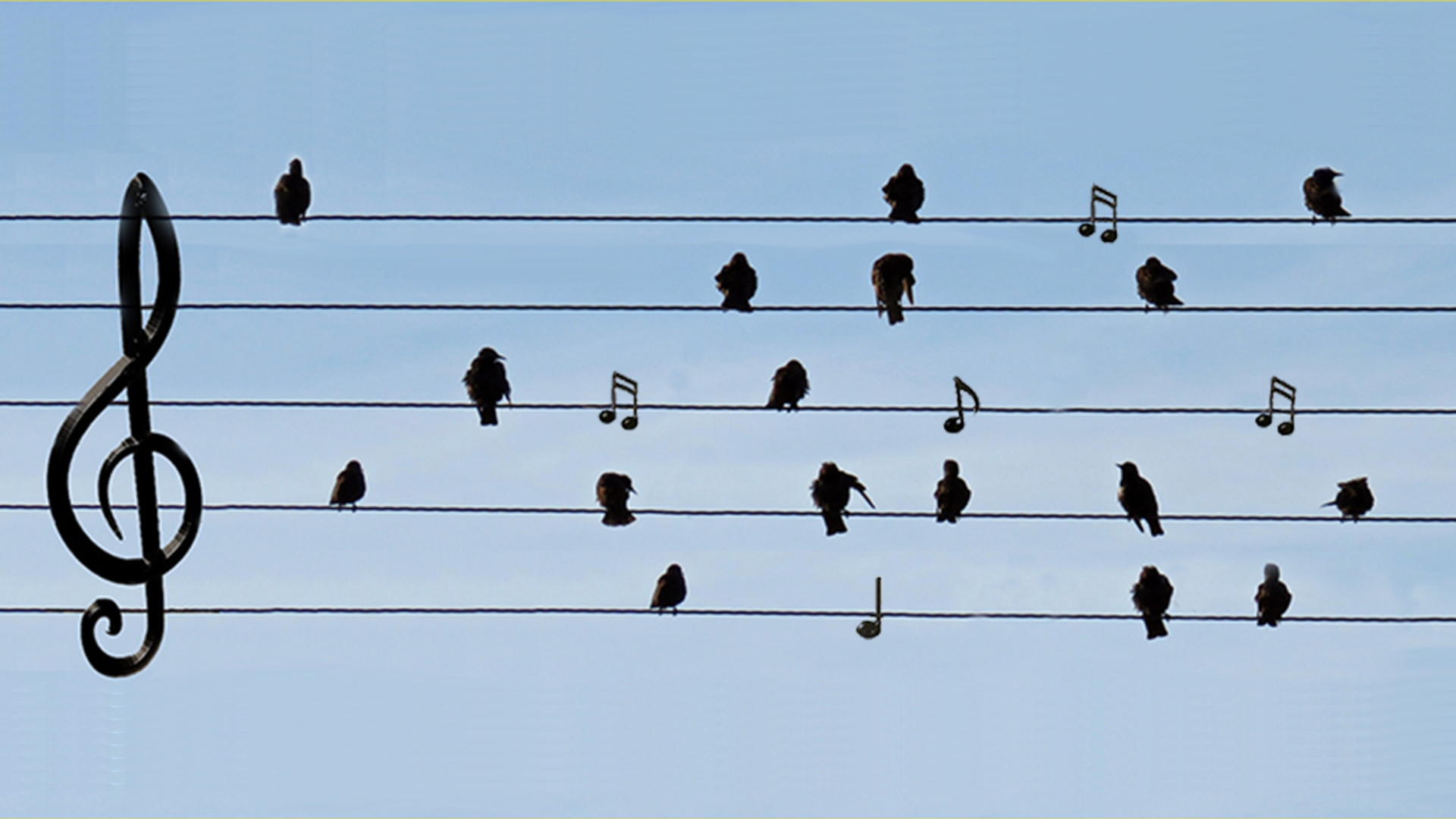 Muziek muzieklijst groot