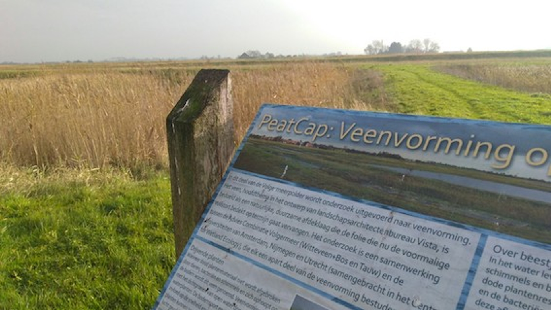 Vogelmeerpolder