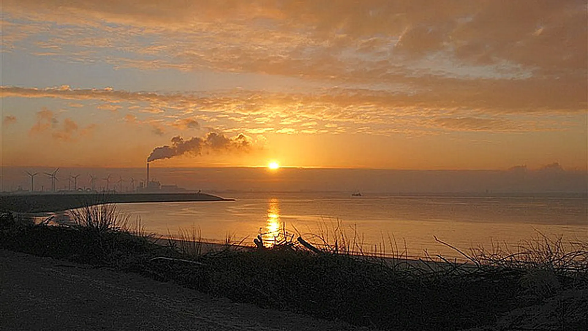westerschelde_23.jpg