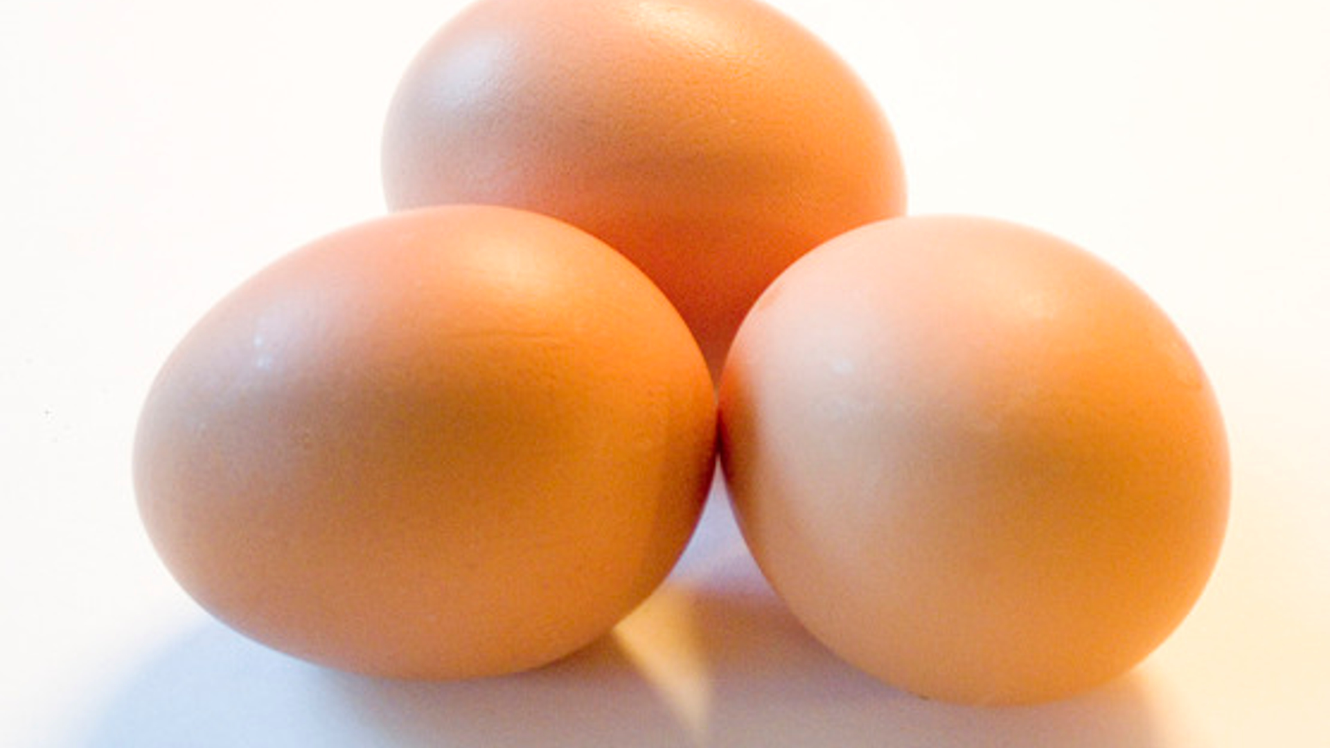 eggs-1196288.jpg