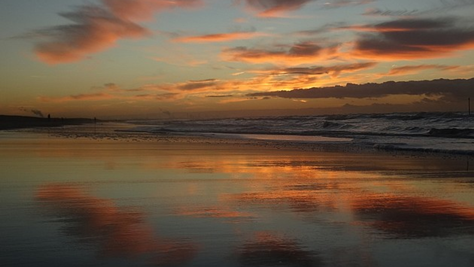 strand_Erikneuteboom.jpg