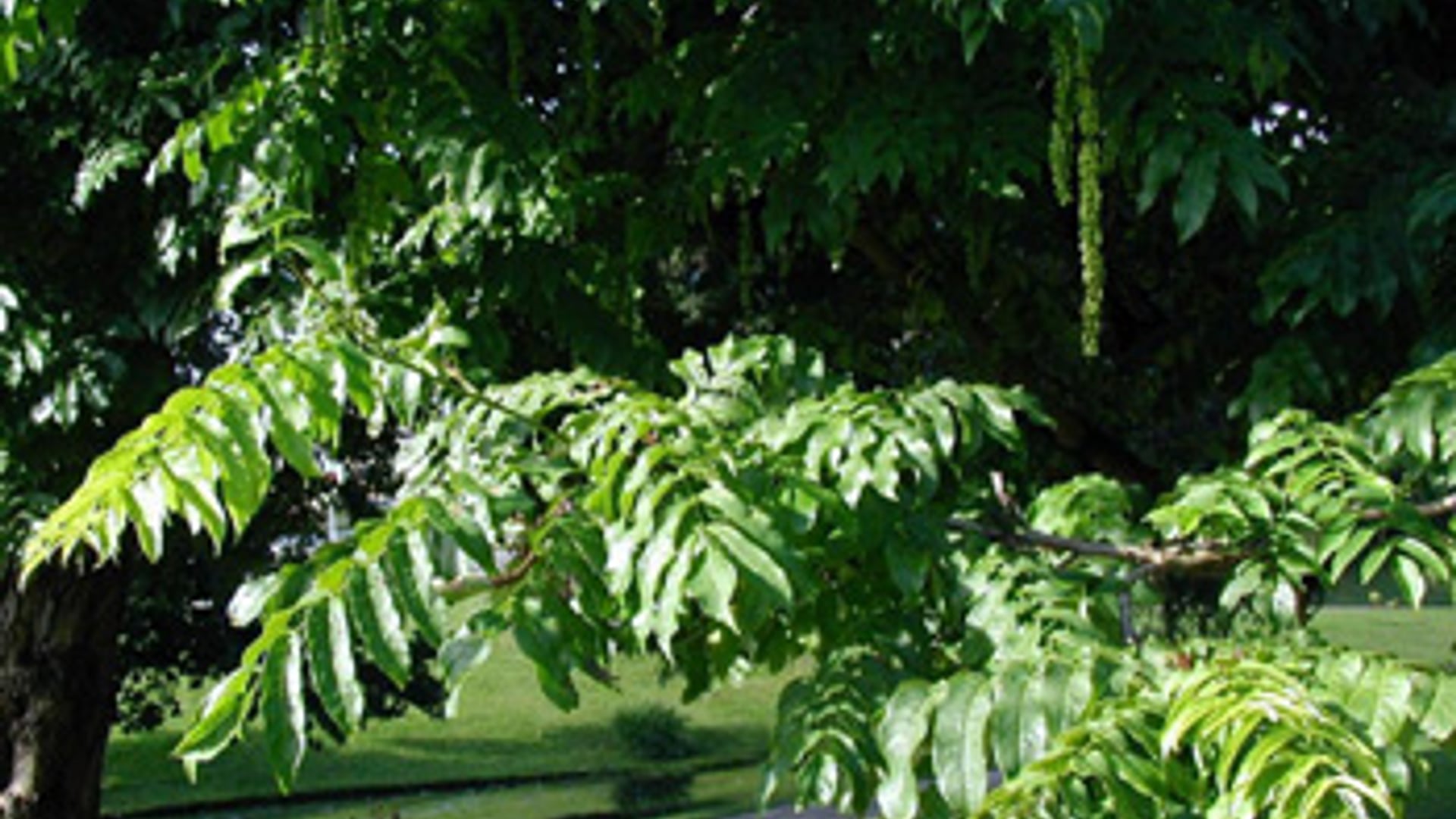 vv_newsimg_255670.jpg