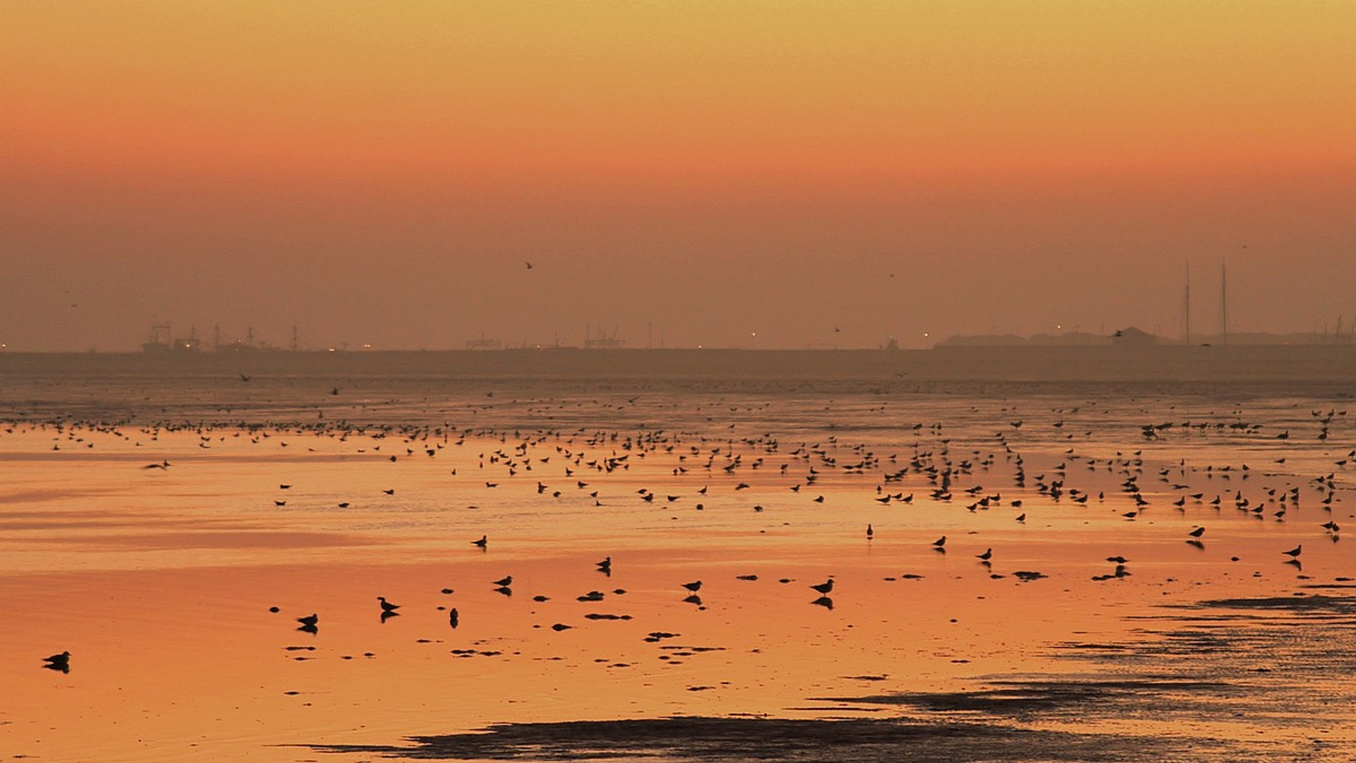 waddenzee_jokenijenhuis.jpg