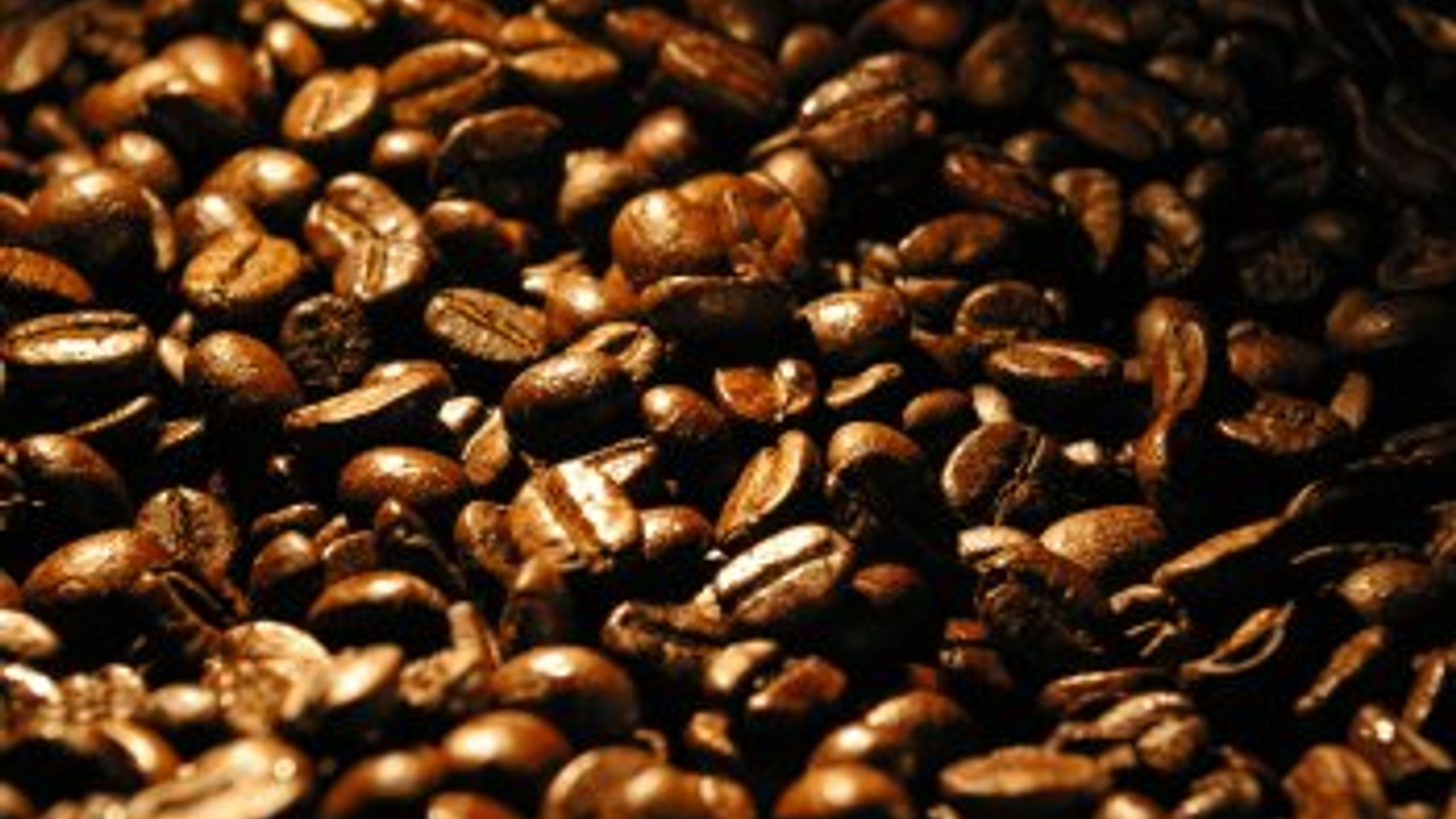 koffiebonen.jpg