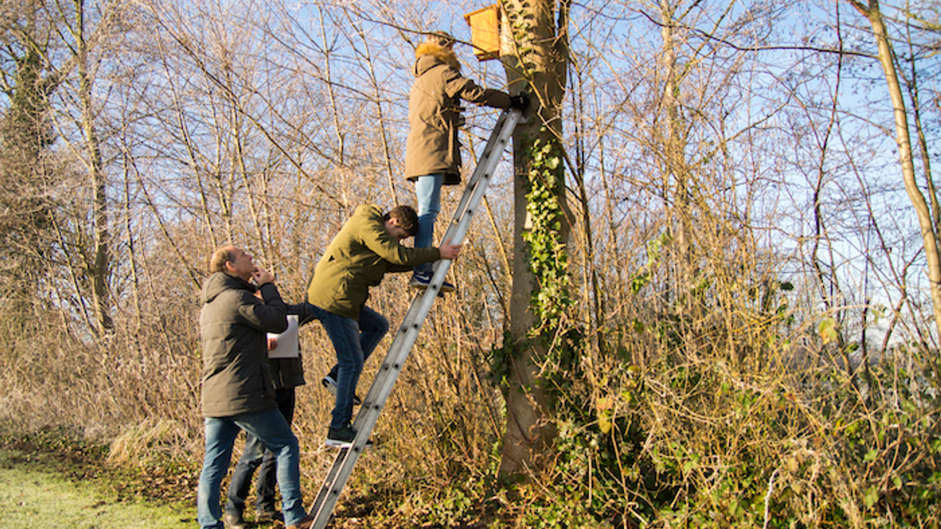 170119-nestkastjes voor spreeuwen104