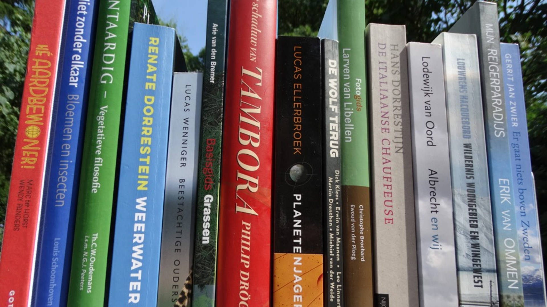 Longlist_JWP2015_boekenplank.jpeg