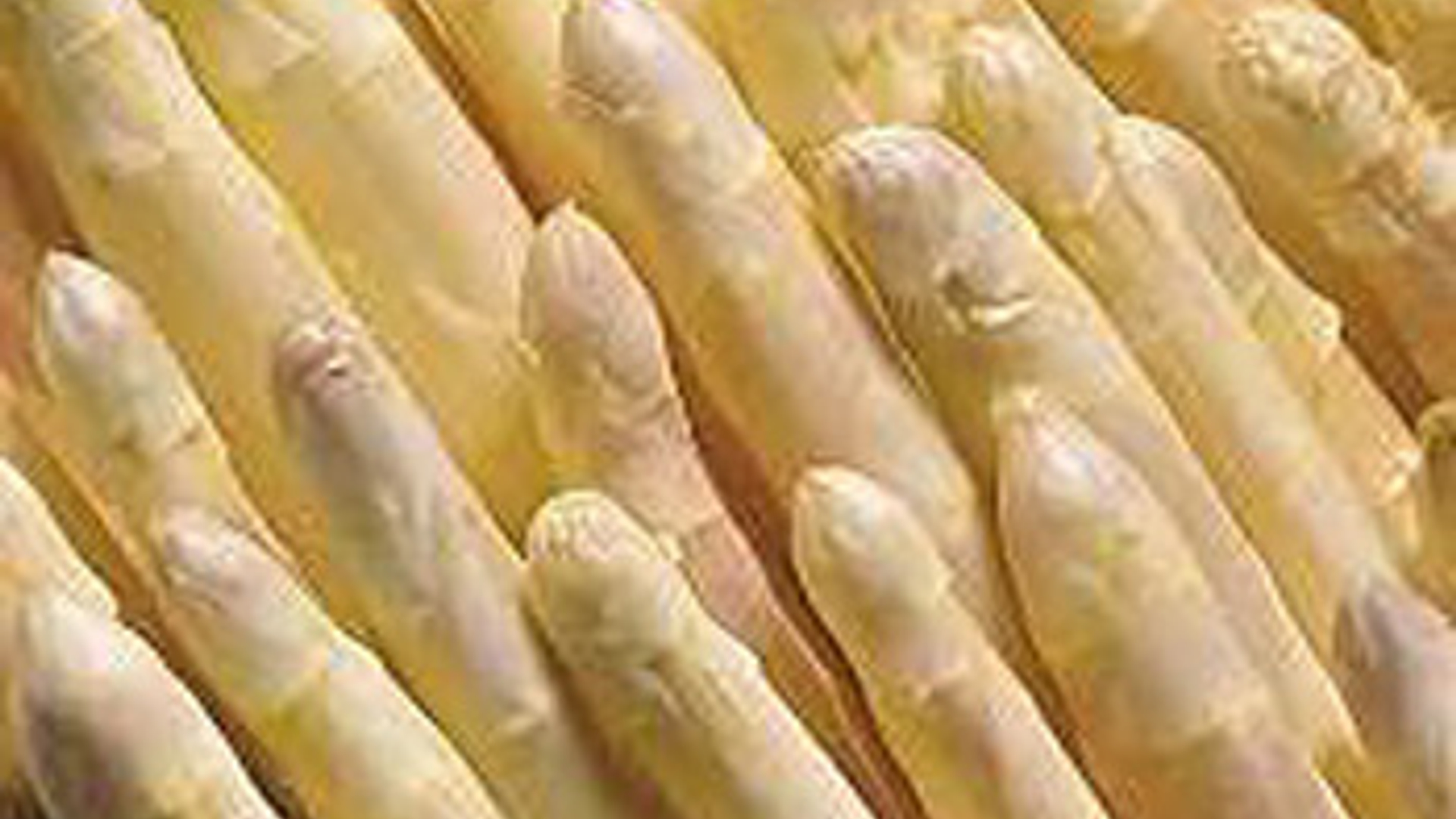 asperges.jpg