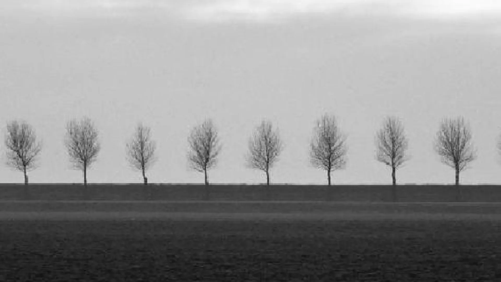 Grote_landschapsboek2_01.JPG