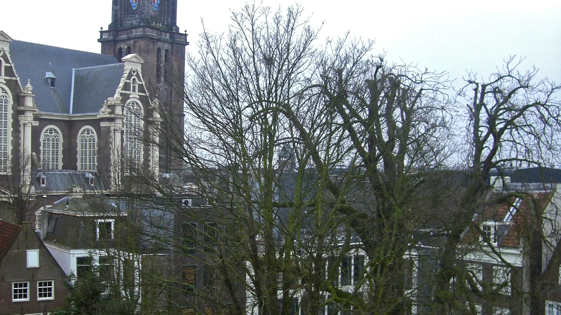 Anne-Frankboom.jpg