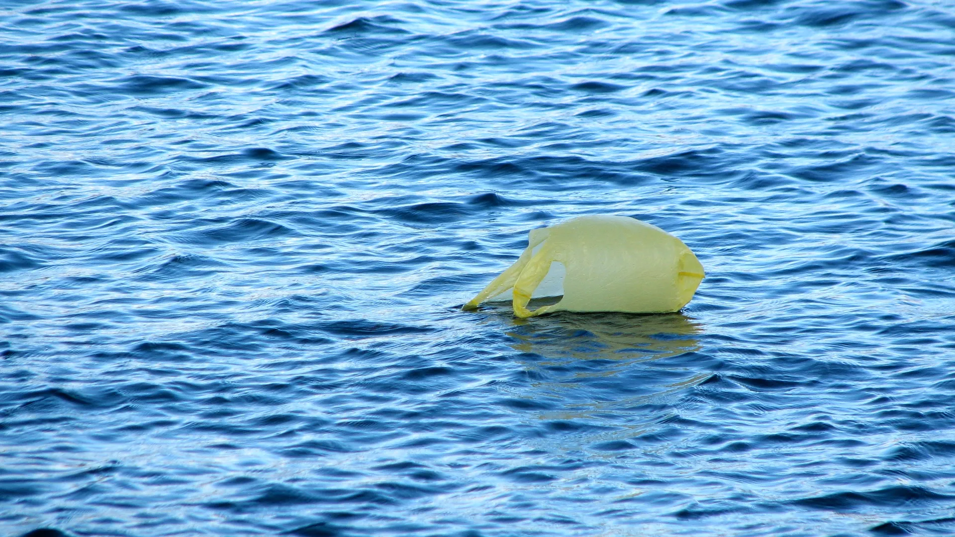 plastic_03.jpg