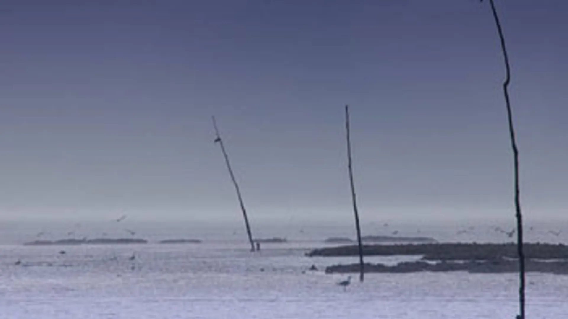 oosterschelde_02.jpg