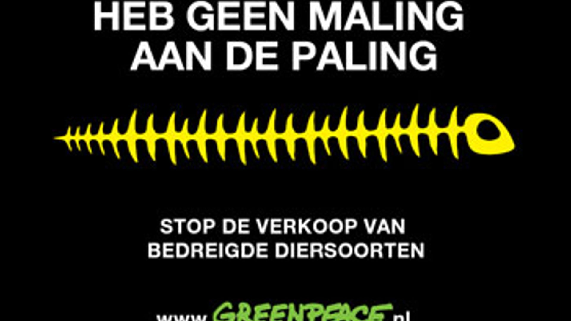 paling_27.jpg