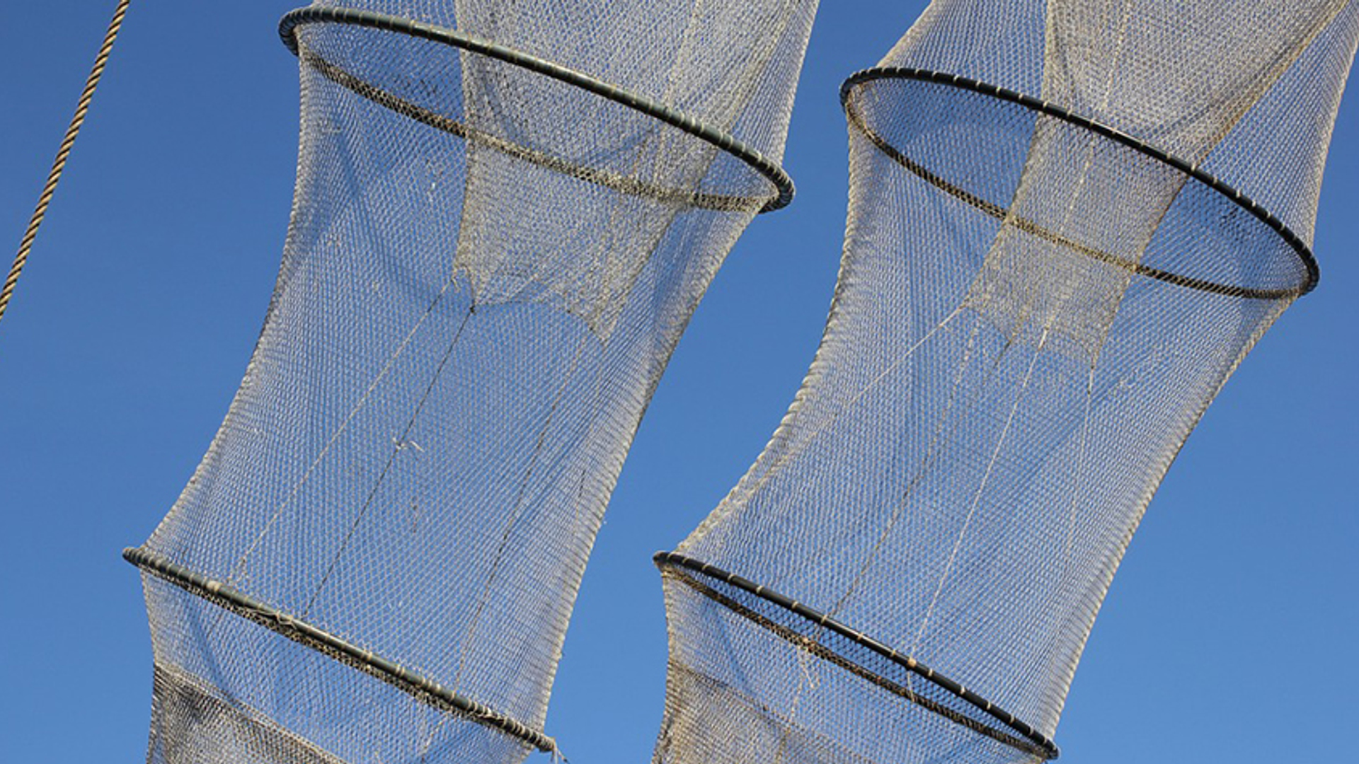 fuik pixabay visserij