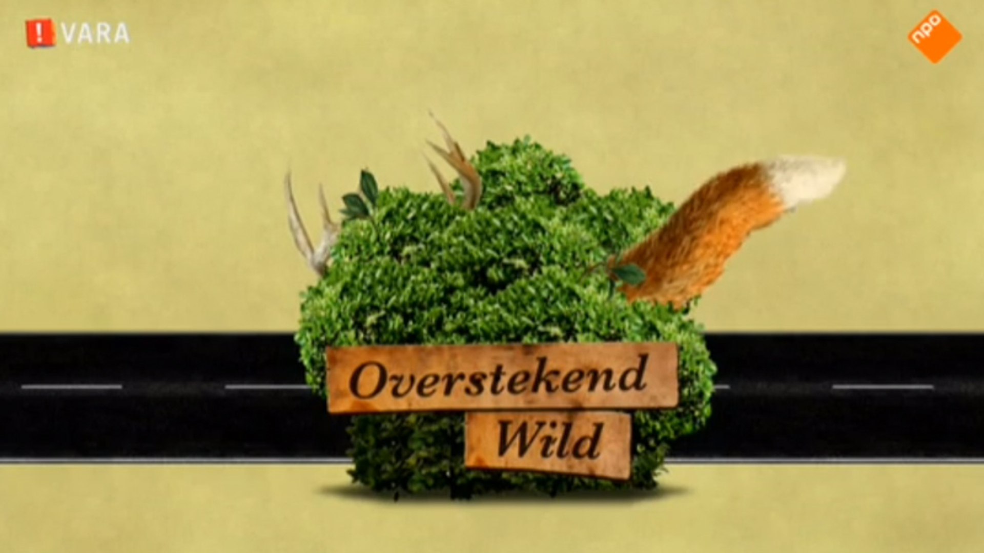 overstekendwild.jpg