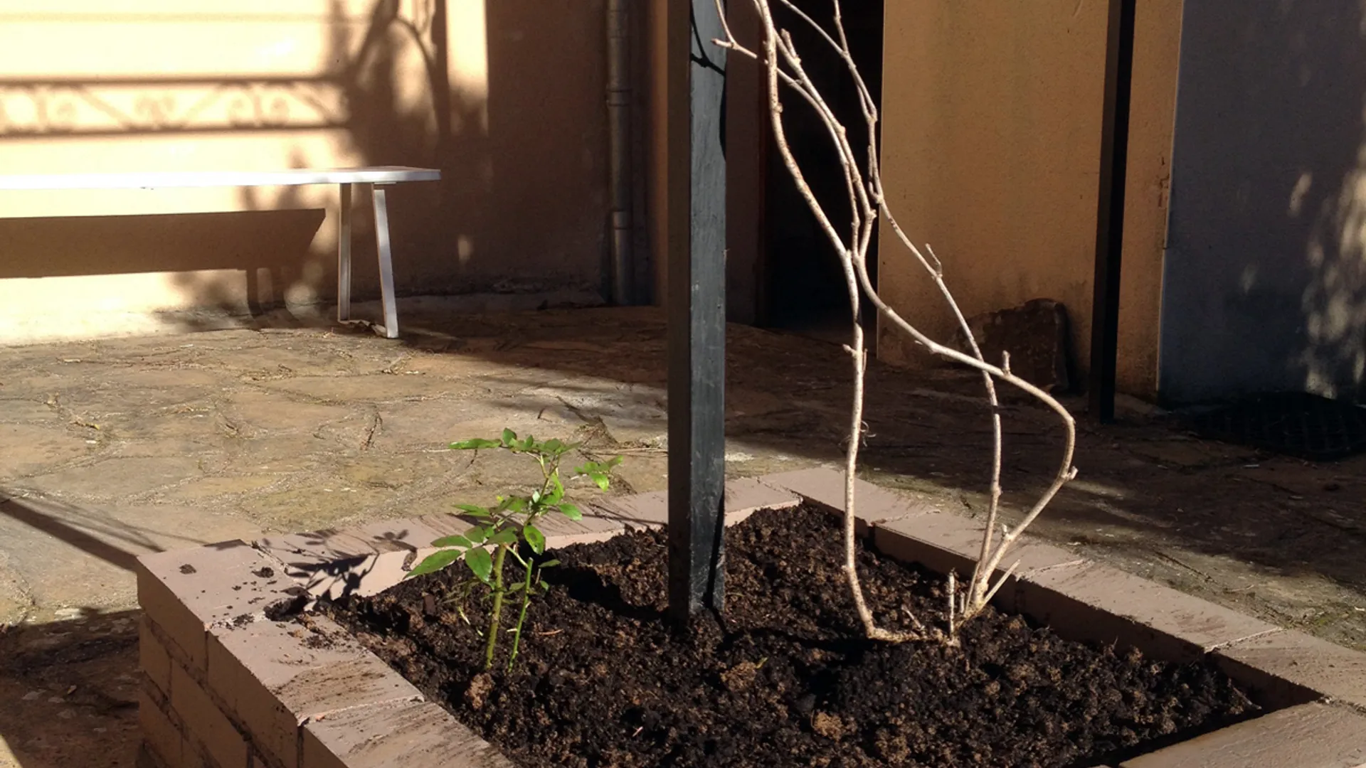 Pergola_januari_2014.jpg