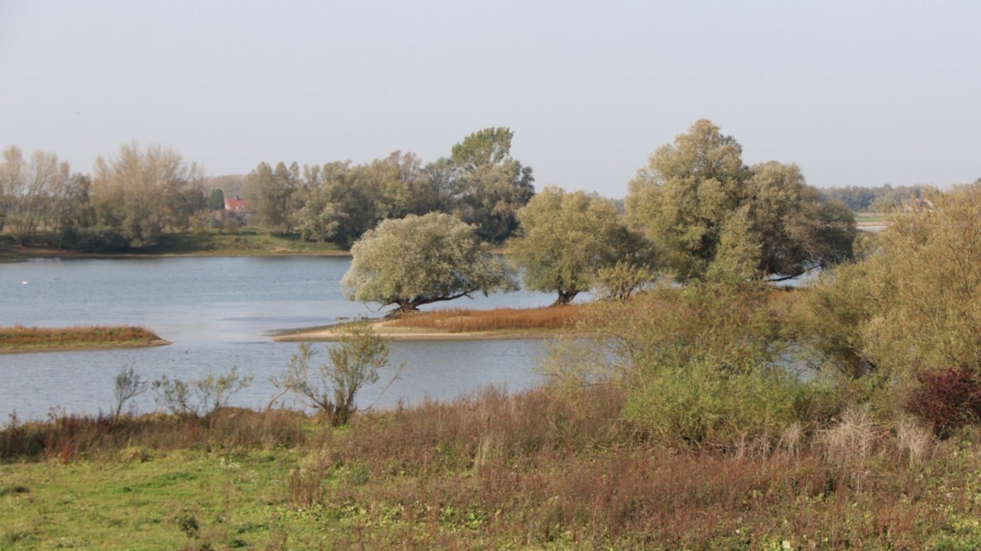 mooie_natuur_langs_de_rijn_bij_millingen_59ec9cae6b561_medium