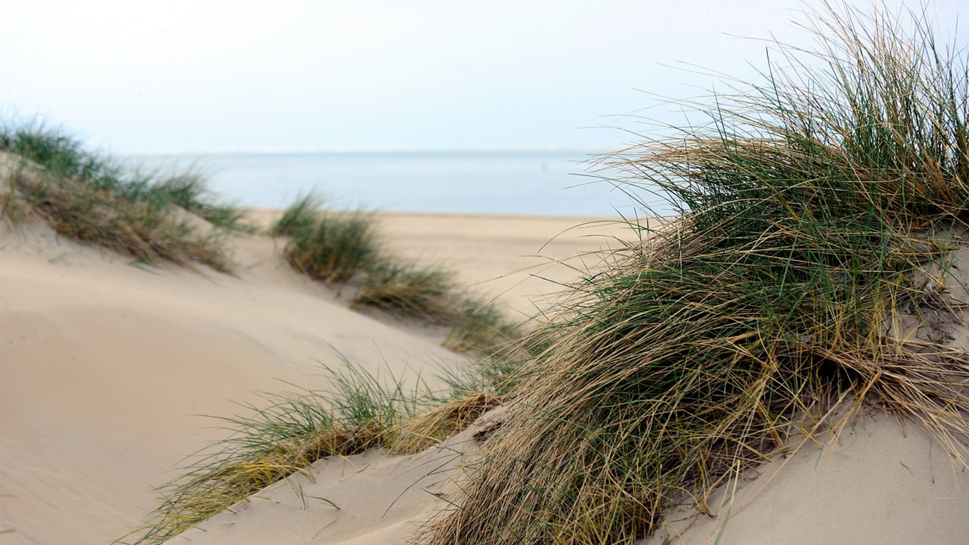 sand-dunes-4752591_1280