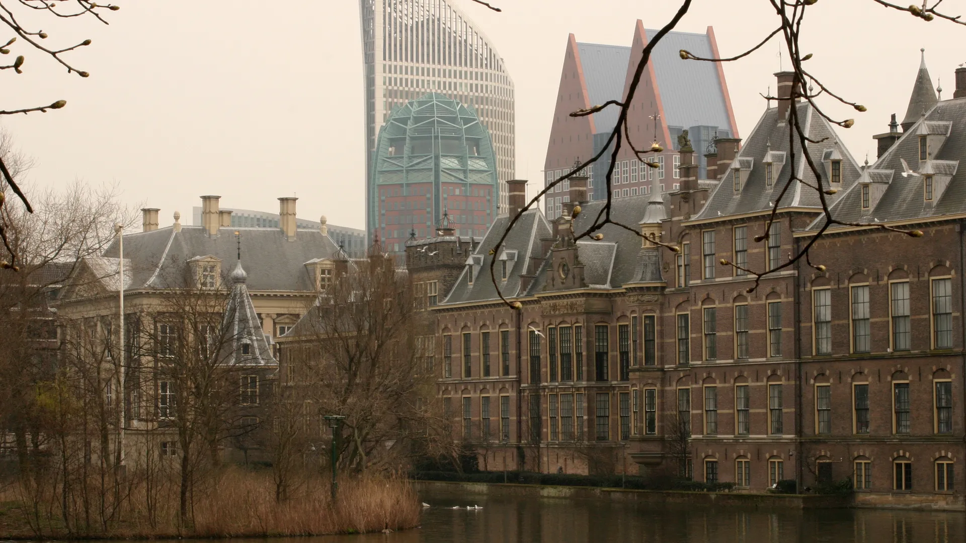 denhaag.jpg