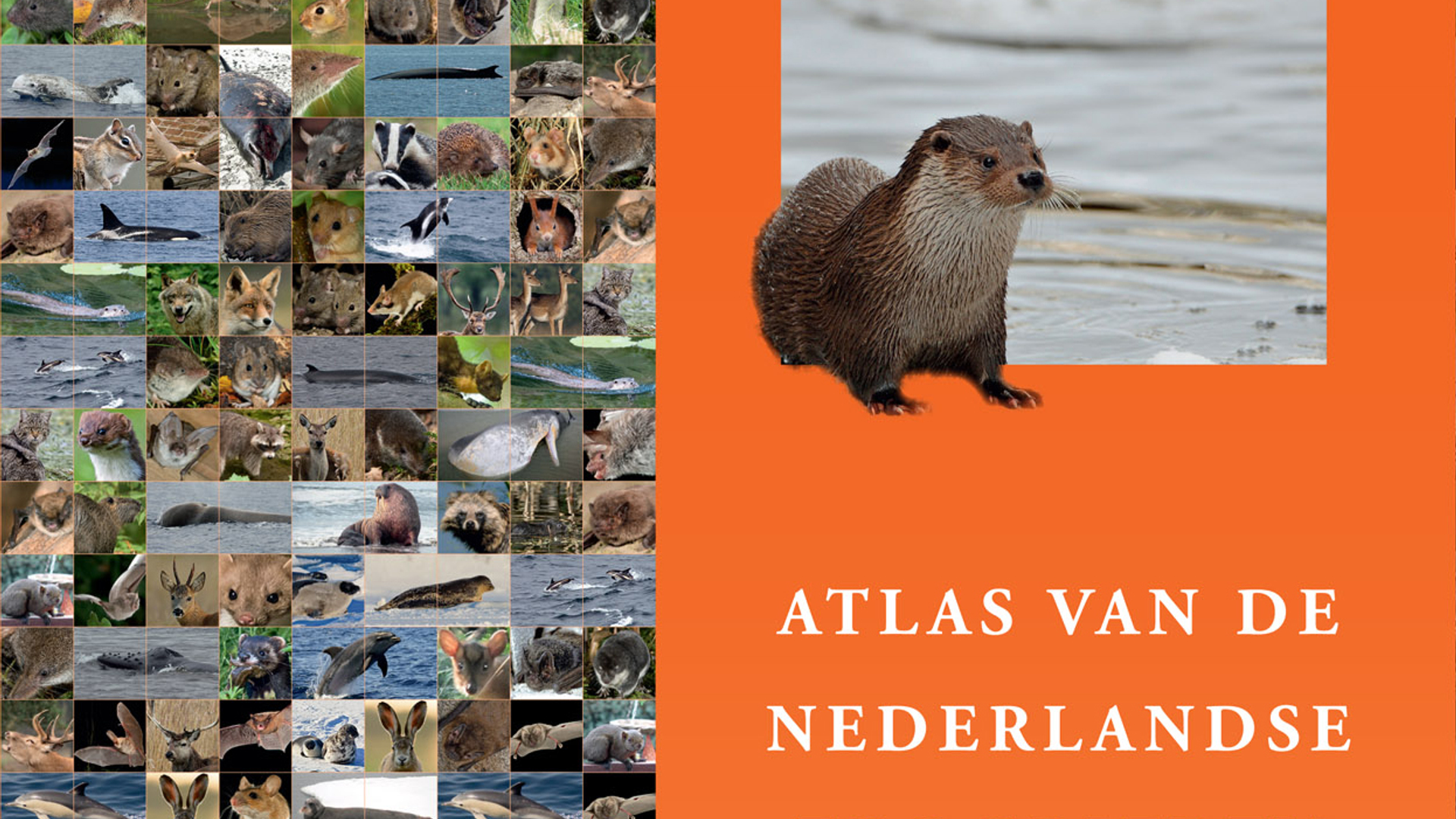 atlas_zoogdieren.jpg