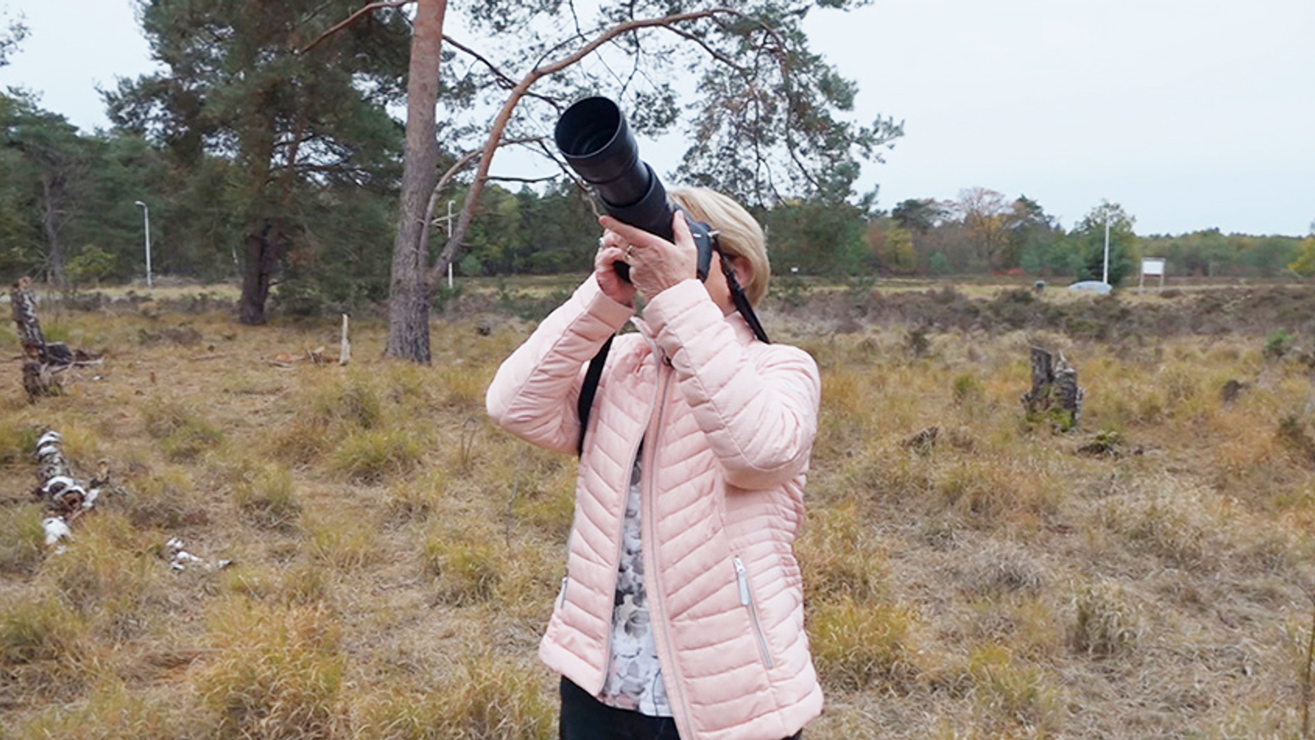 DV MXF OP1a Package.00_09_50_00.Still012