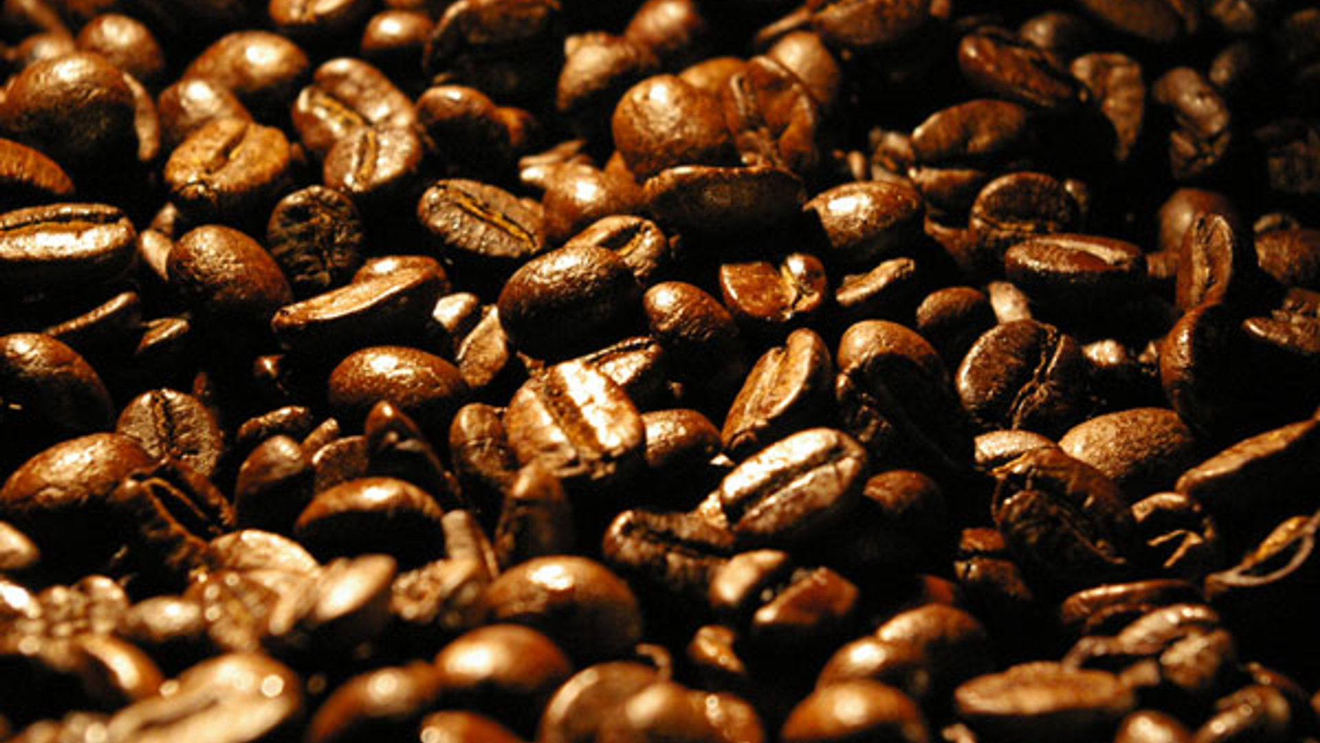 koffie.jpg