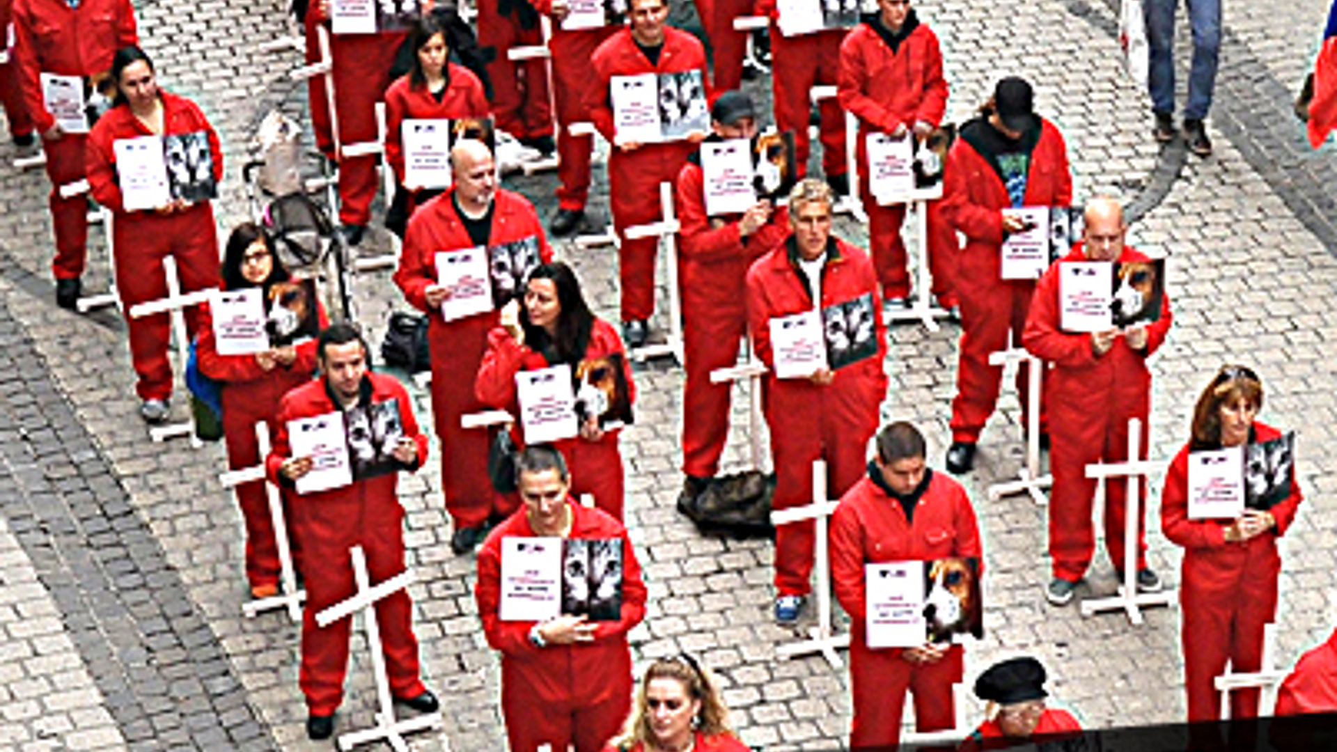 Banner_2_actie_259282351.jpg