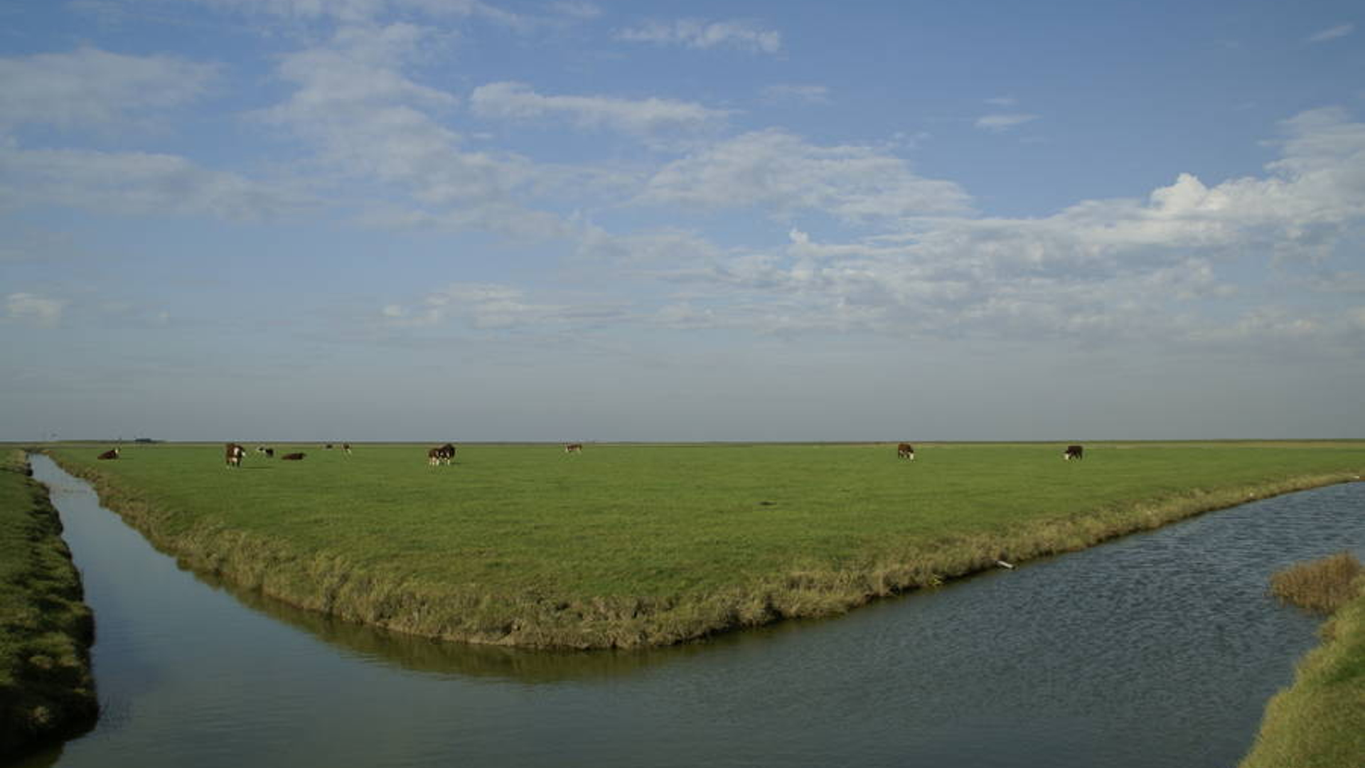 polder_01.jpg
