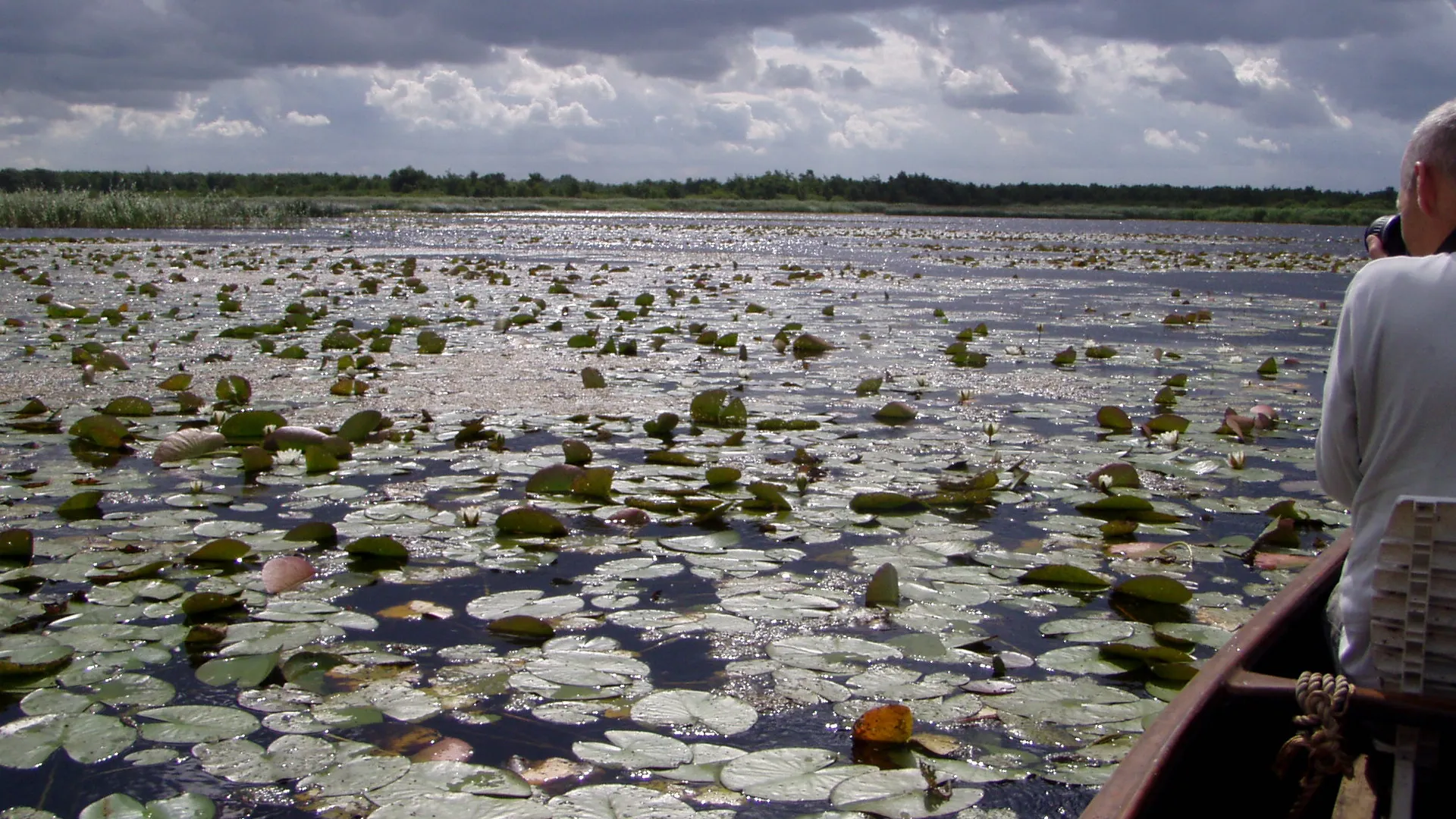 Naardermeer_05.jpg