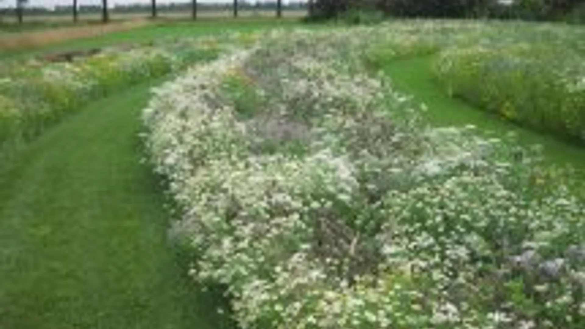 blog_appel_01.jpg