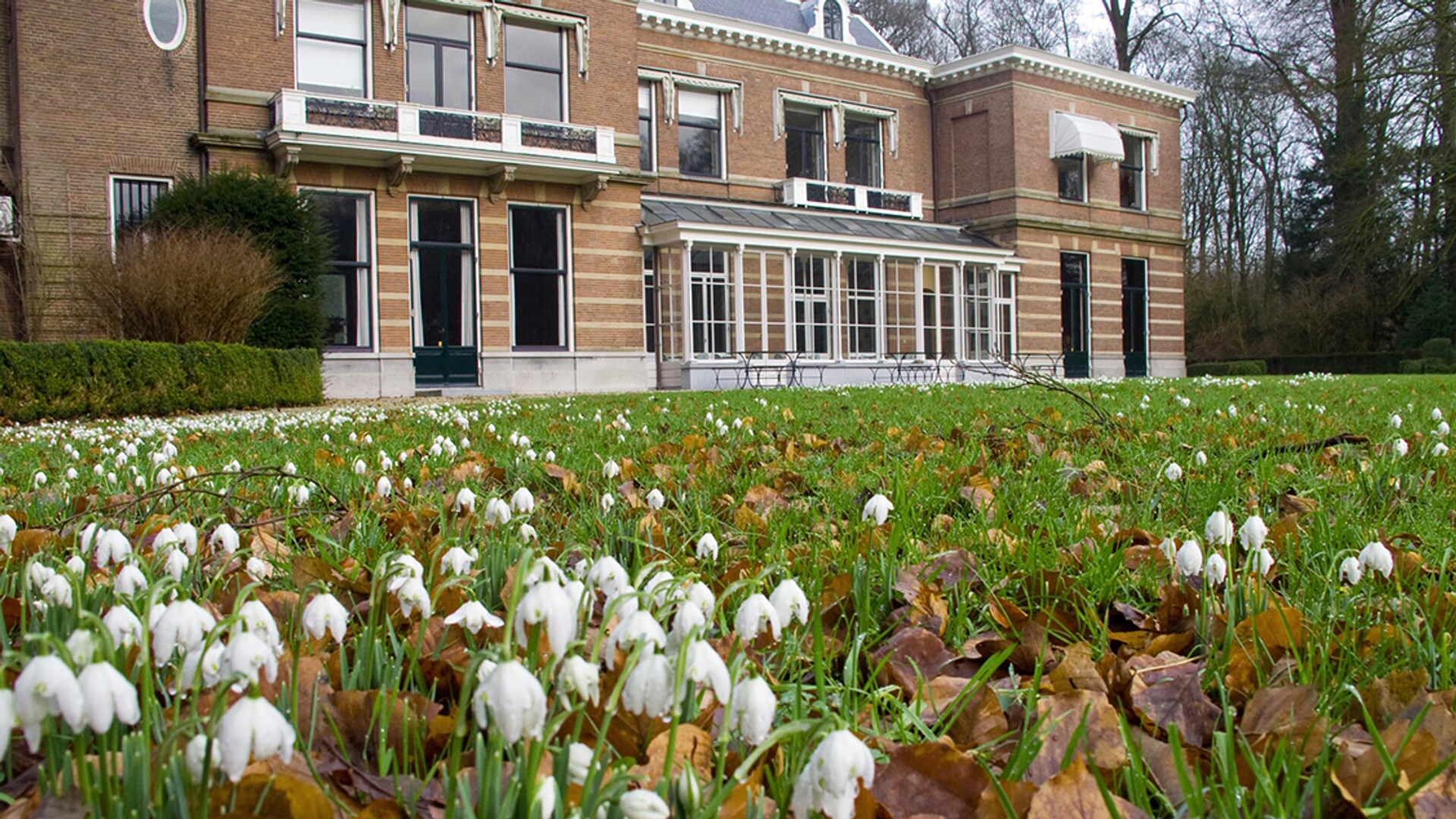 Oostbroek-met-sneeuwklokjes