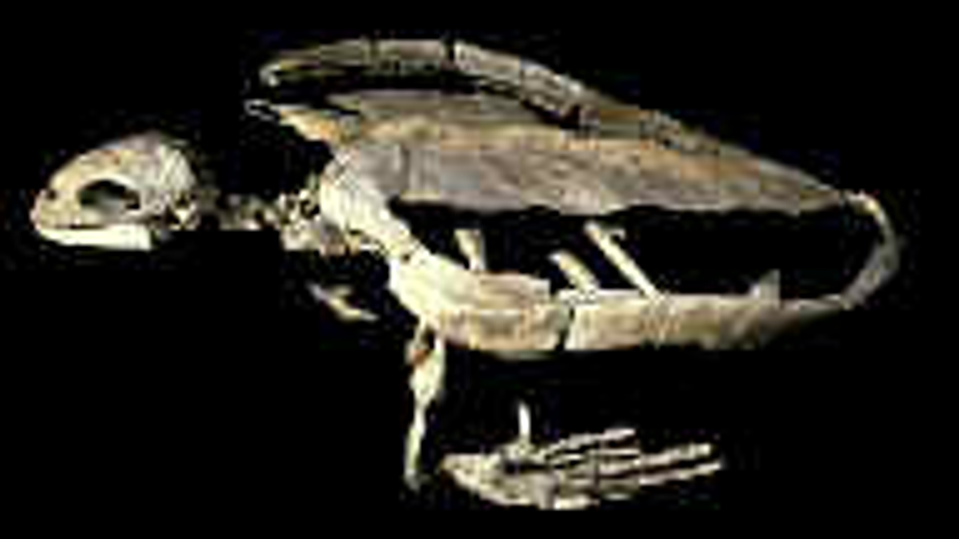 vv_newsimg_304583.jpg