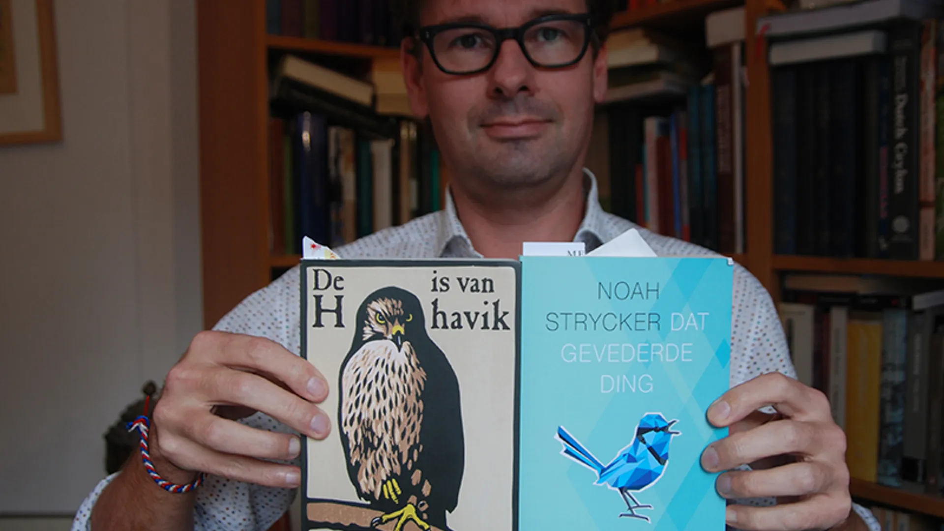 havik_12.jpg